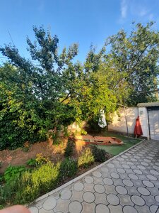 Меридиана-2