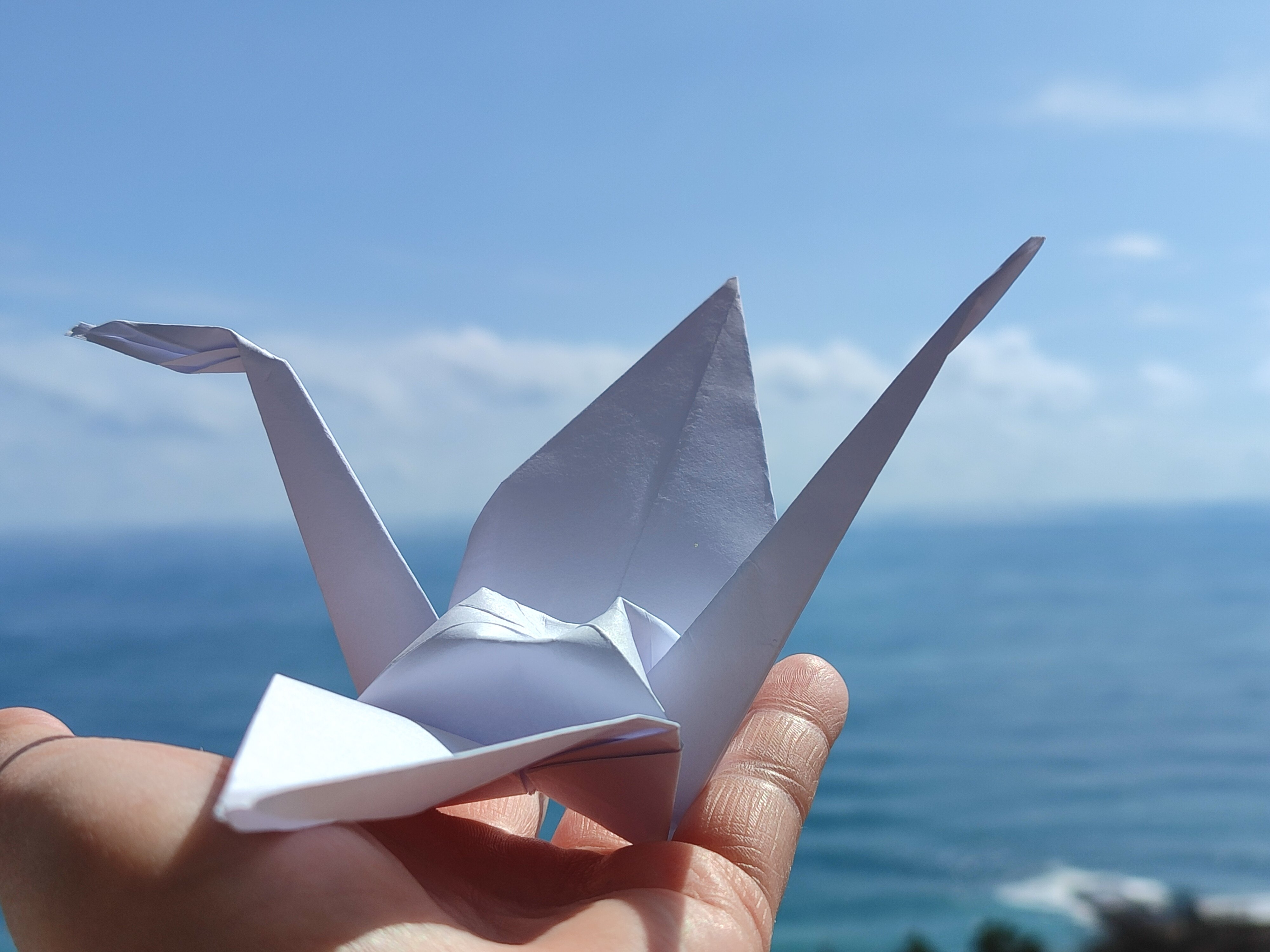 Фото Сиеста