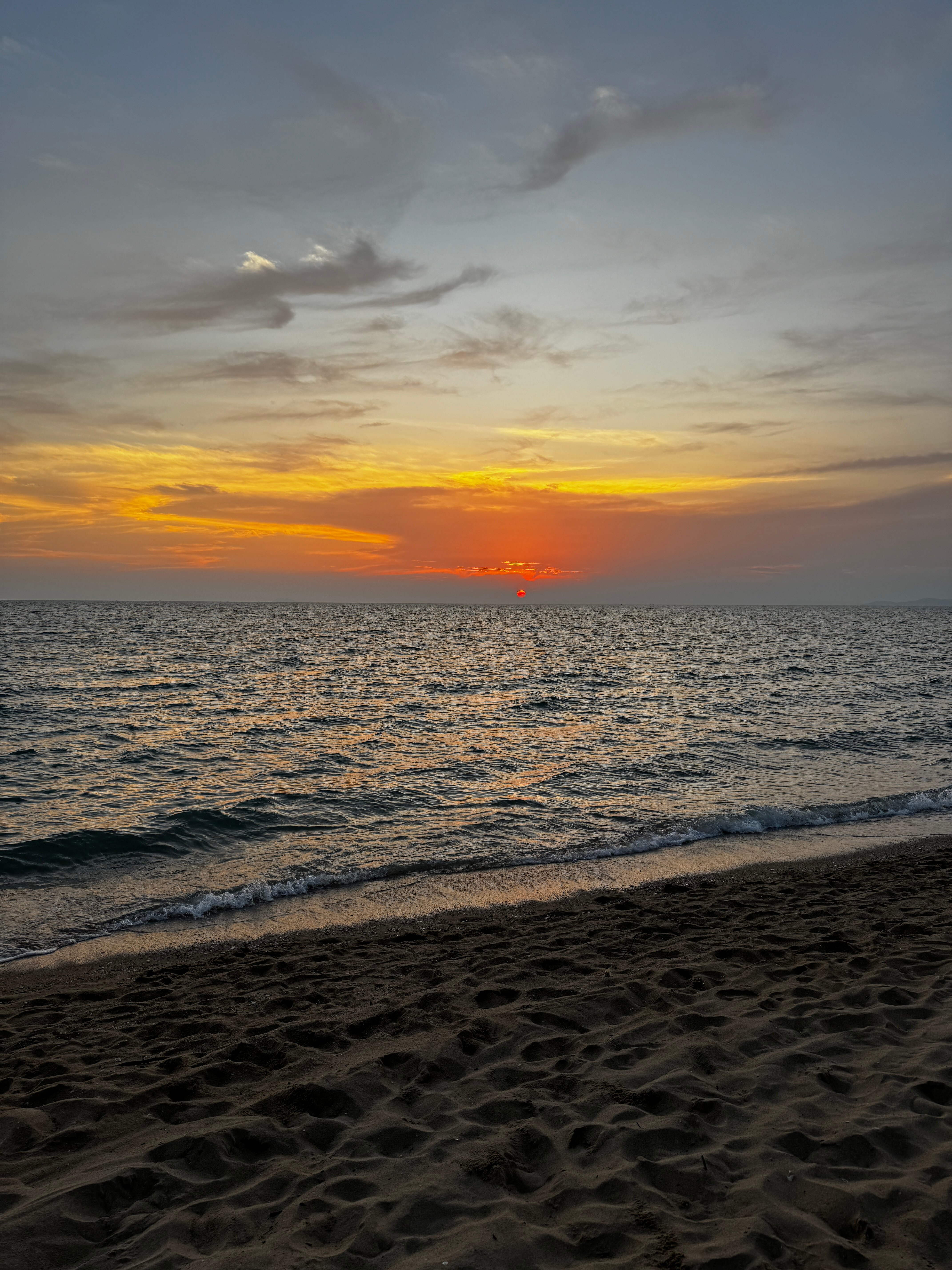 Фото Olive Tree Hotel