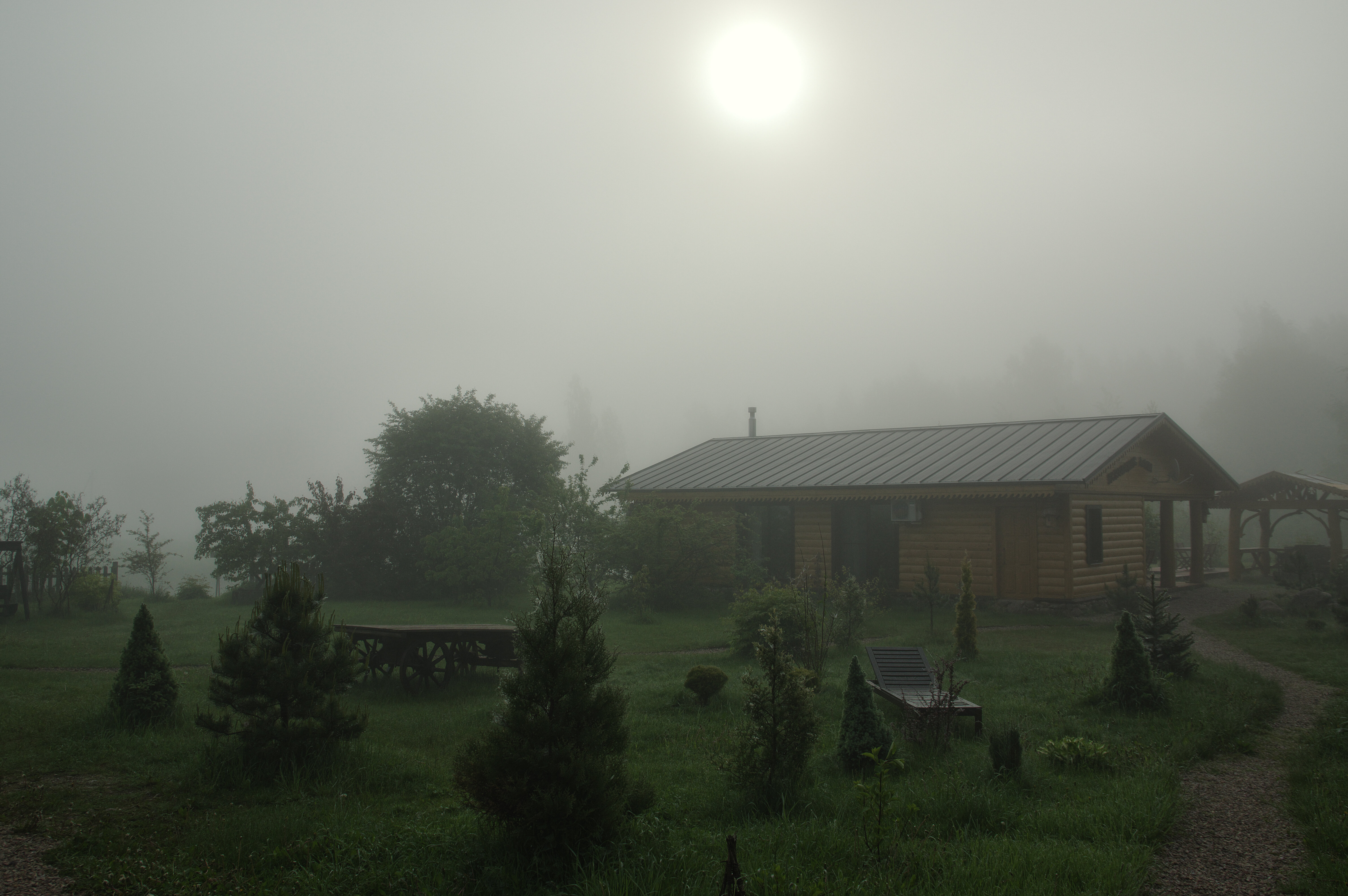 Фото Псковские дали