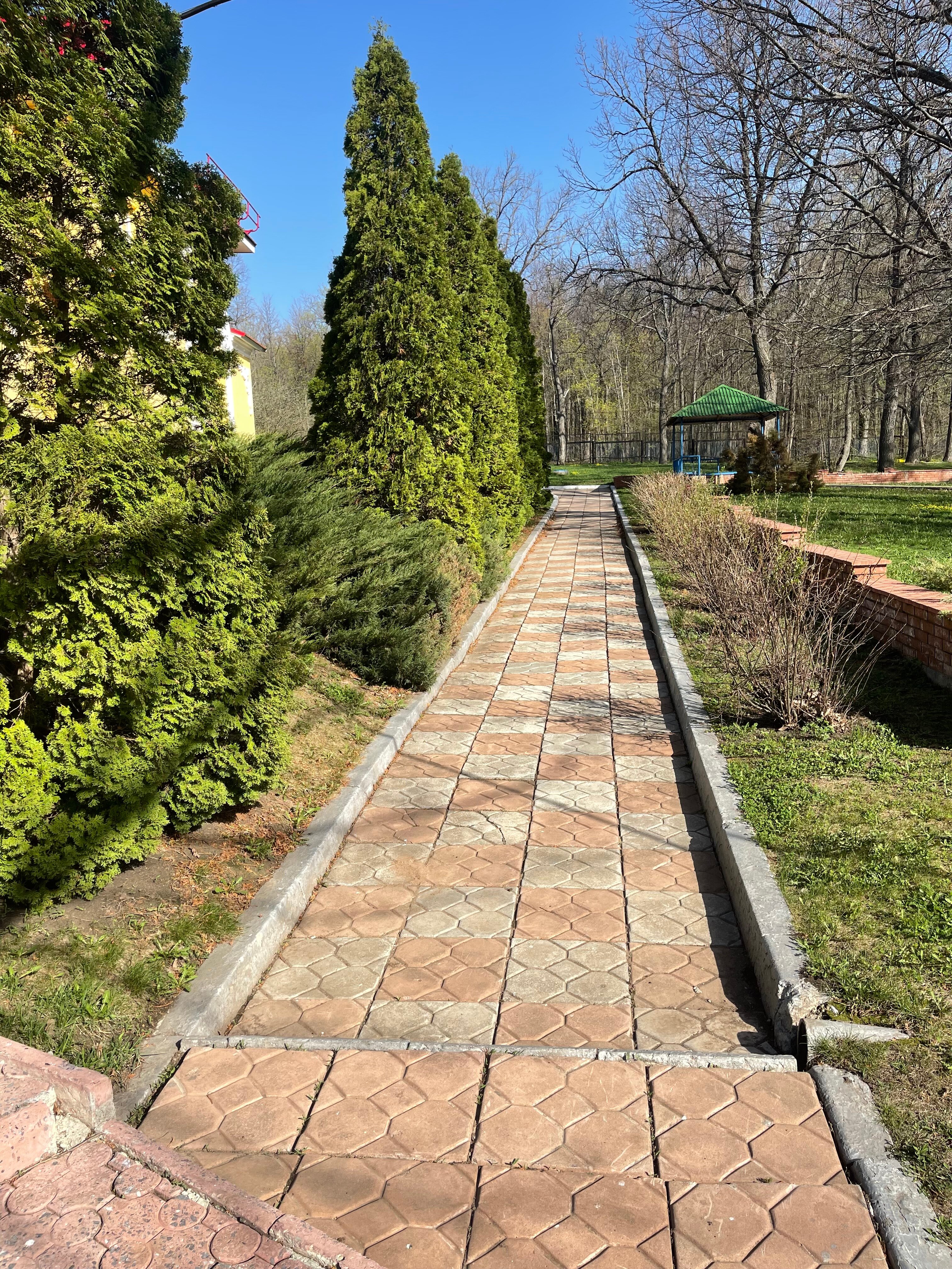 Фото Вишнёвая Поляна