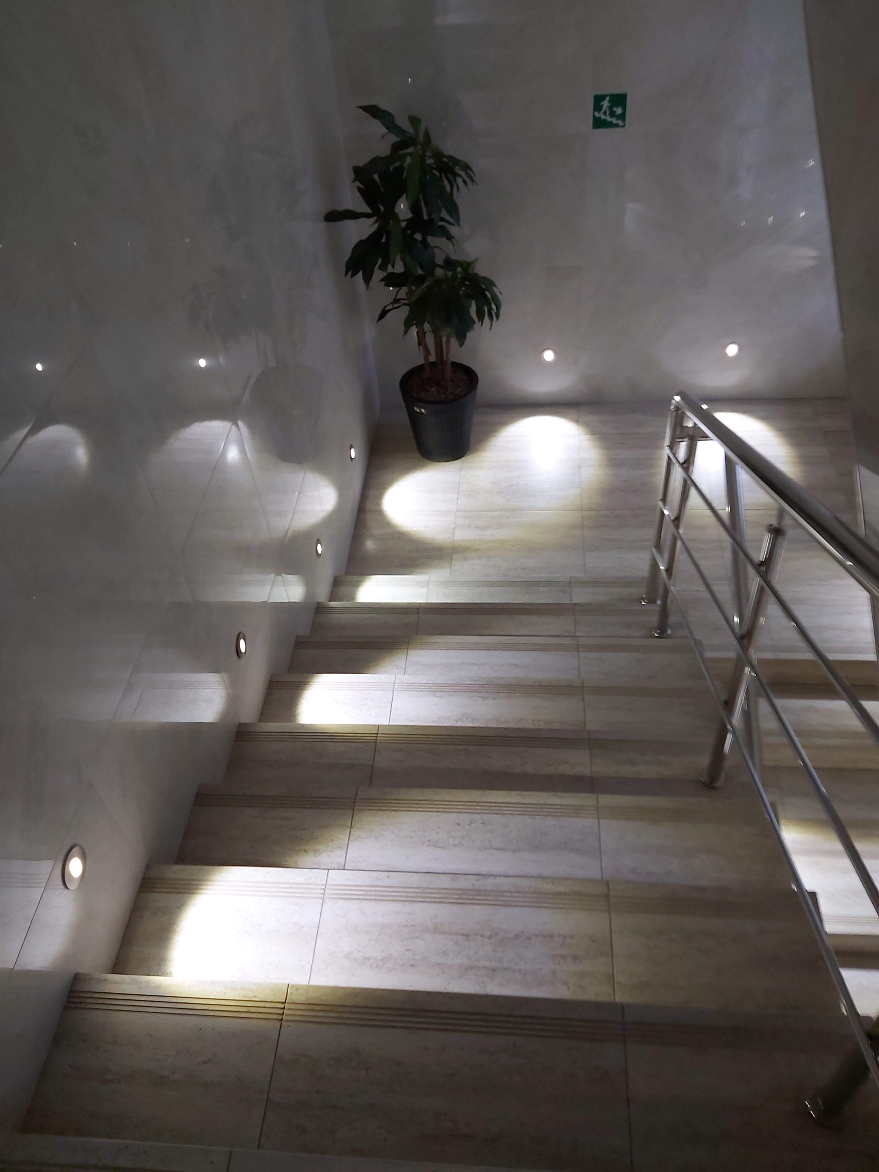 Фото Дружба