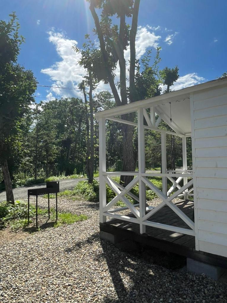 Фото Pine Family