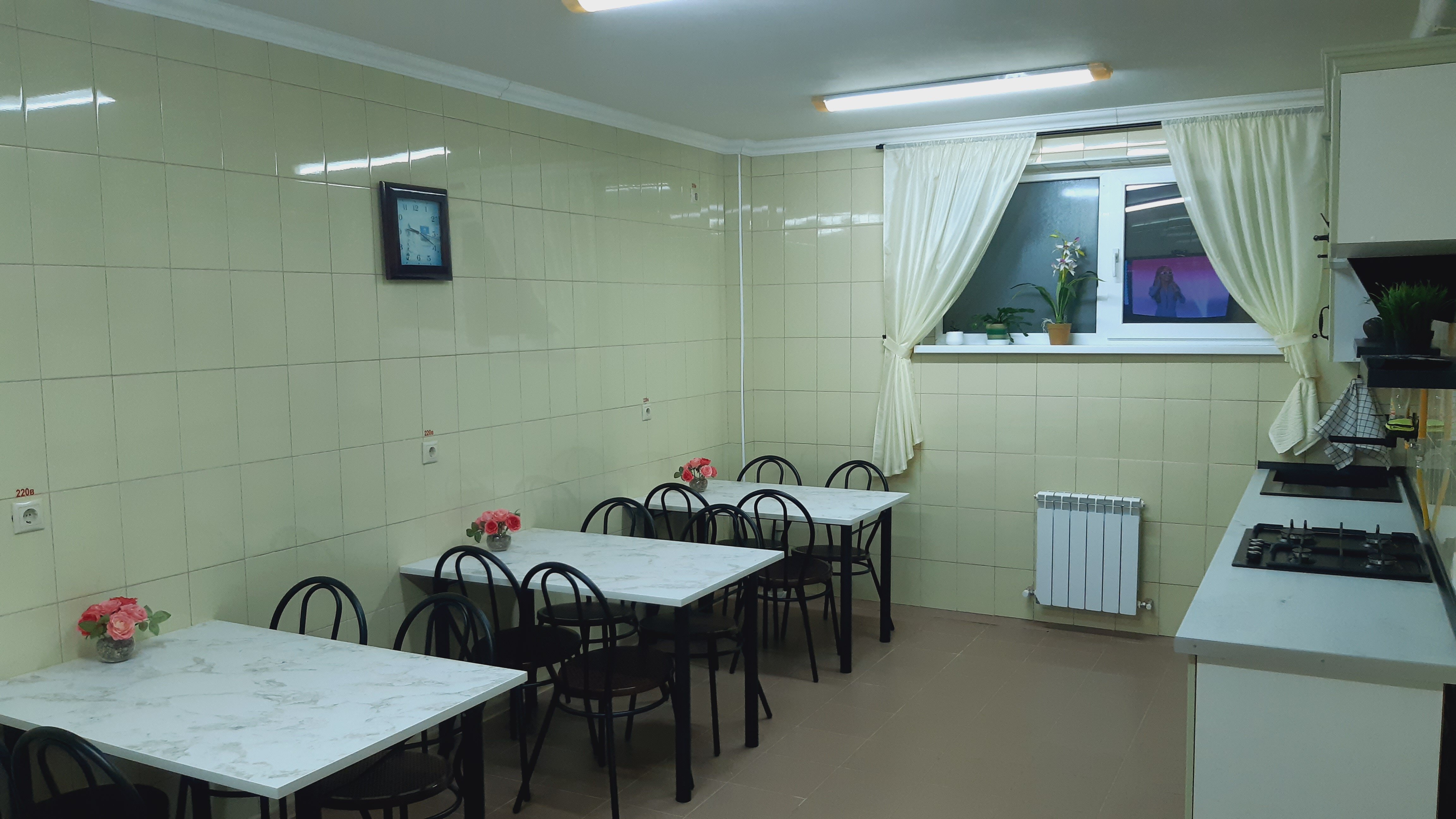 Фото Орхидея