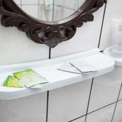 Фото Абрикос