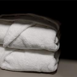 Фото Венера