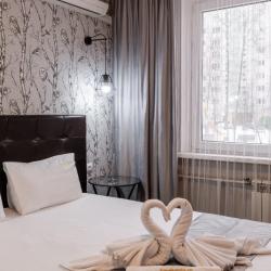 Фото Сова на Планерной