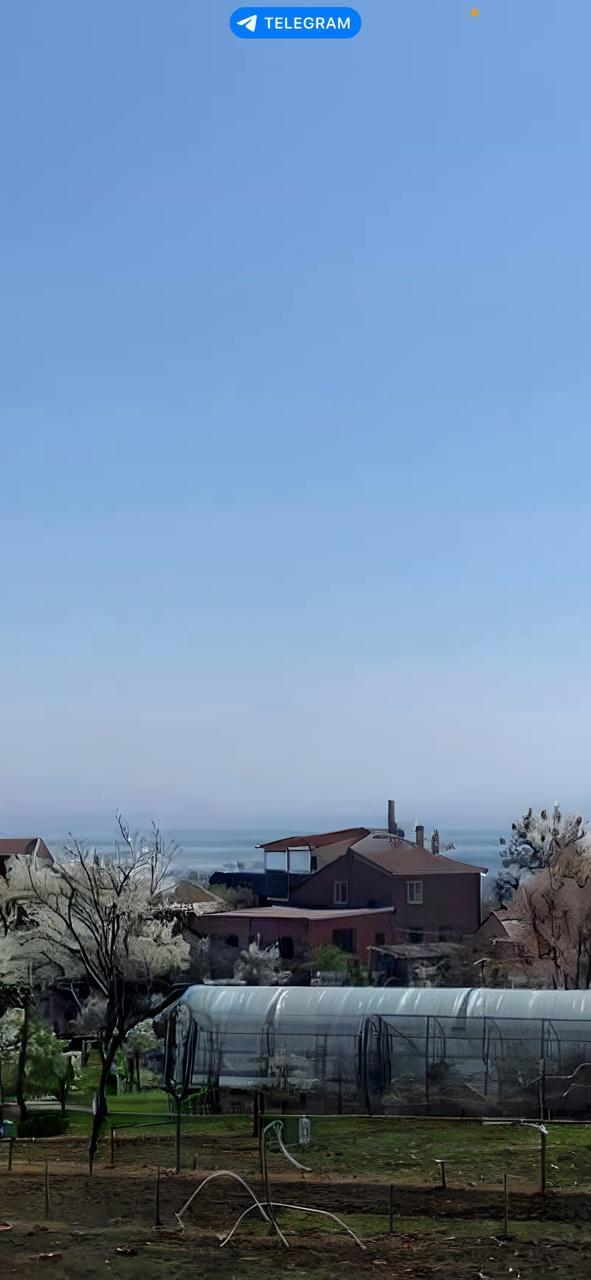 Фото Замок Ксю