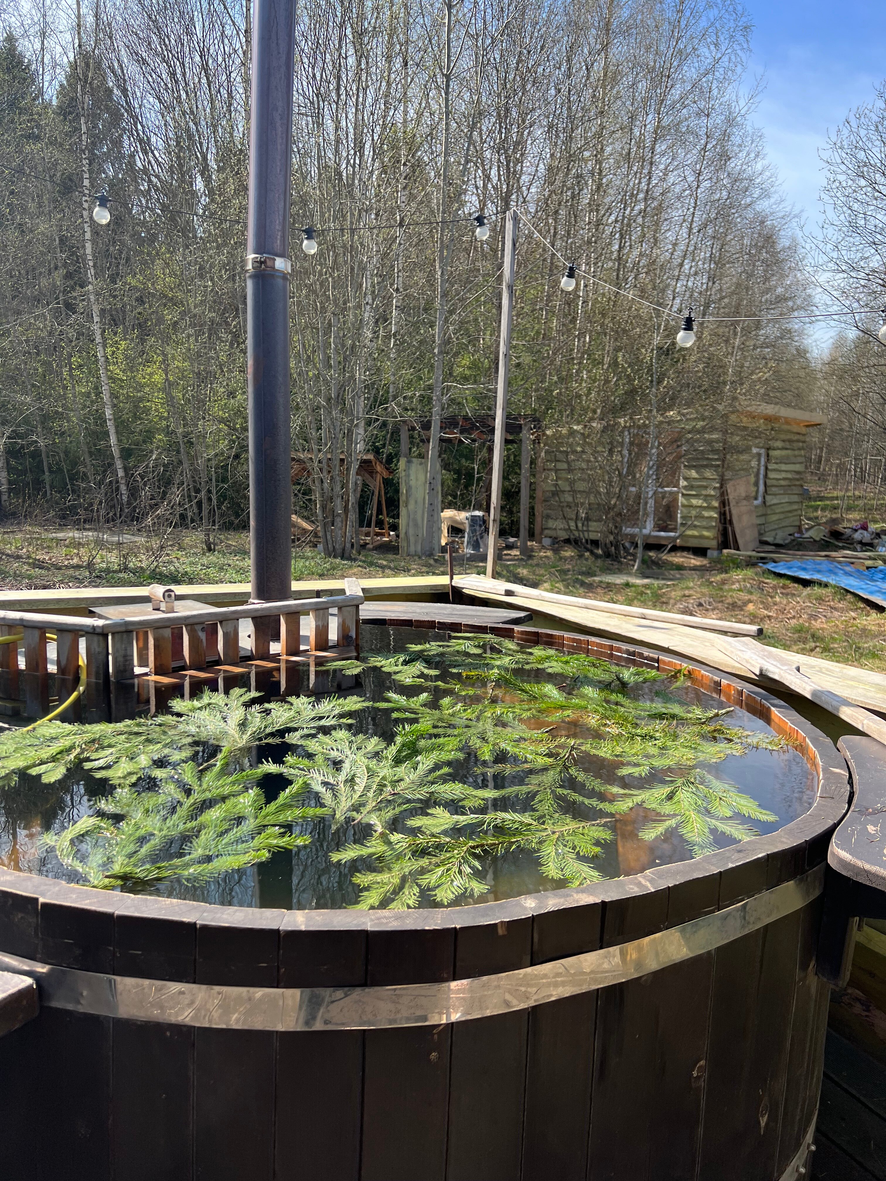 Фото Пушкинские дачи