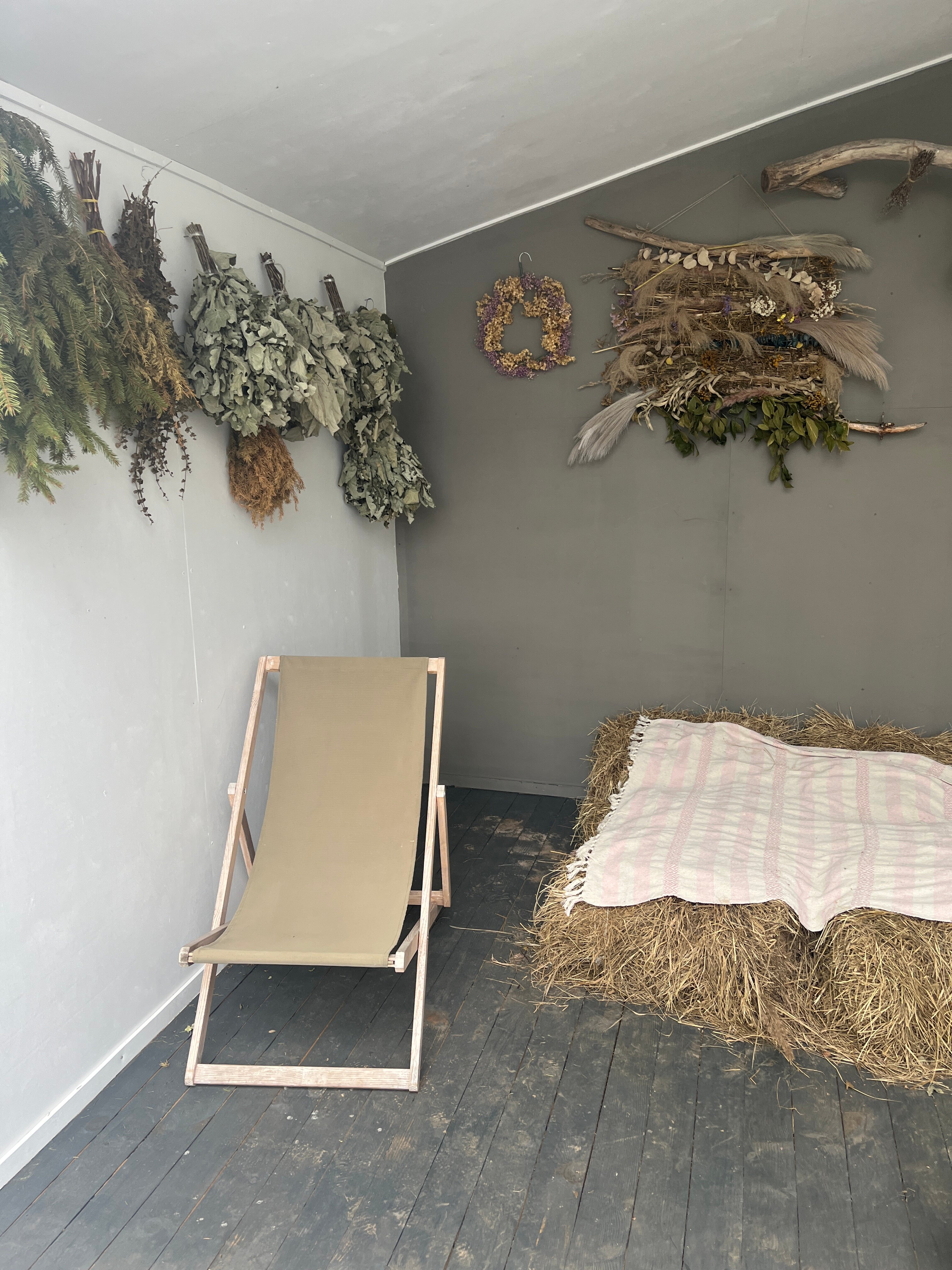 Фото Лес и луга