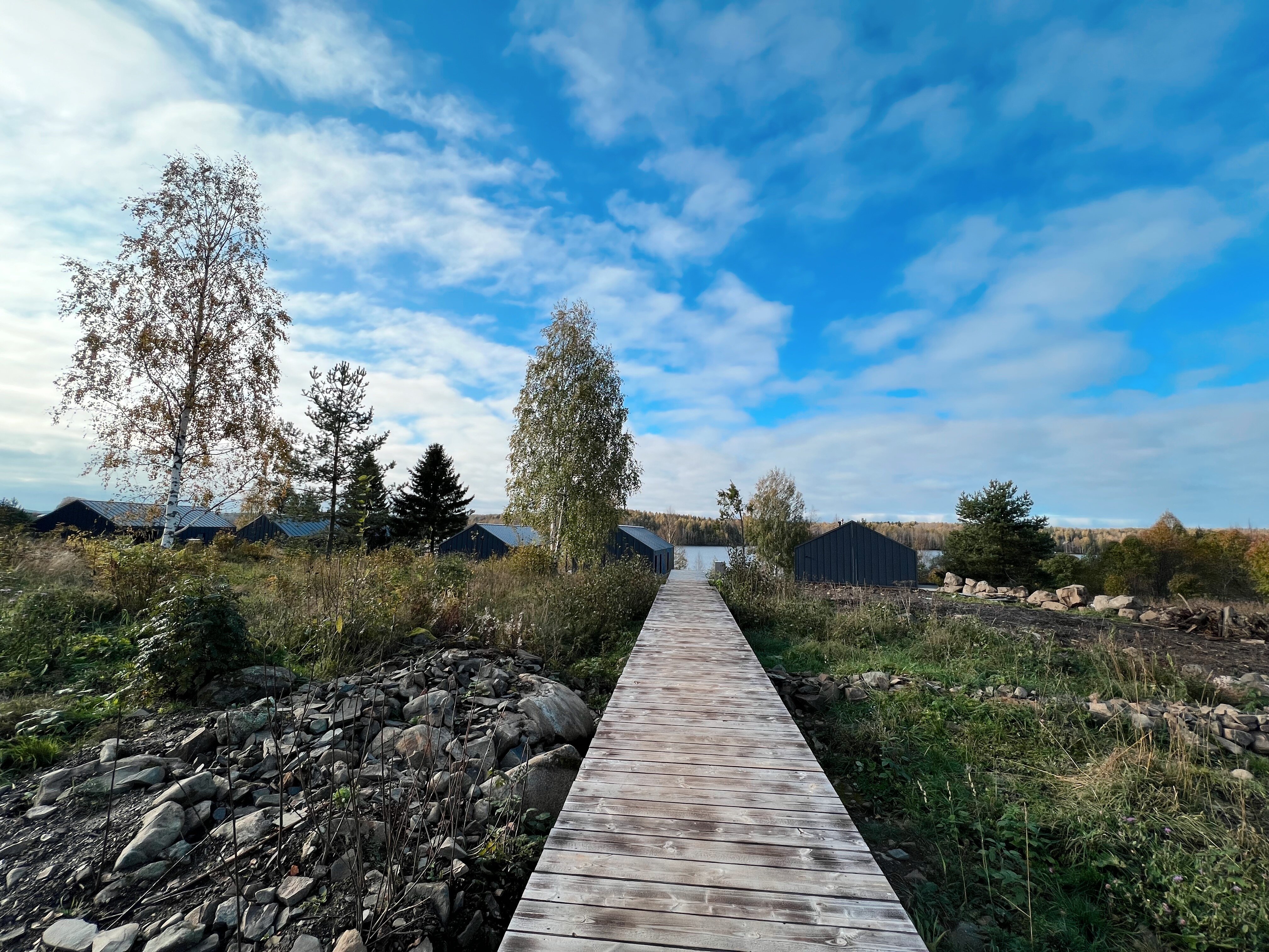 Фото Лунный свет