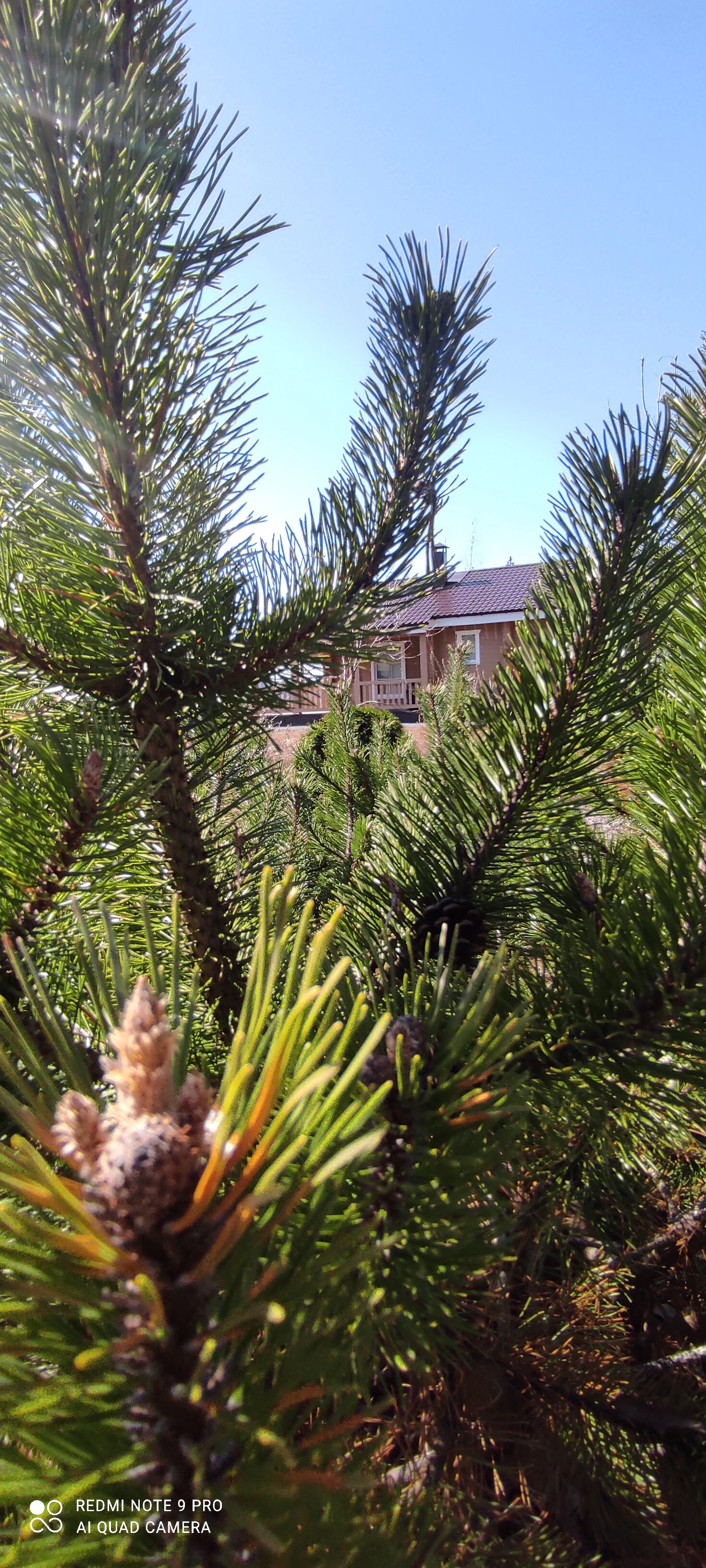 Фото Семейный