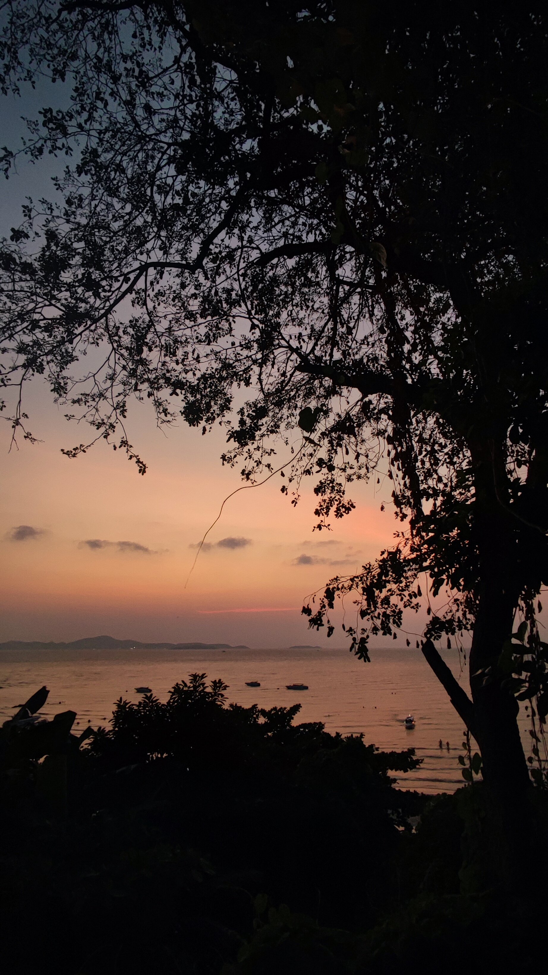 Фото Mountain Beach Resort & Convention Center