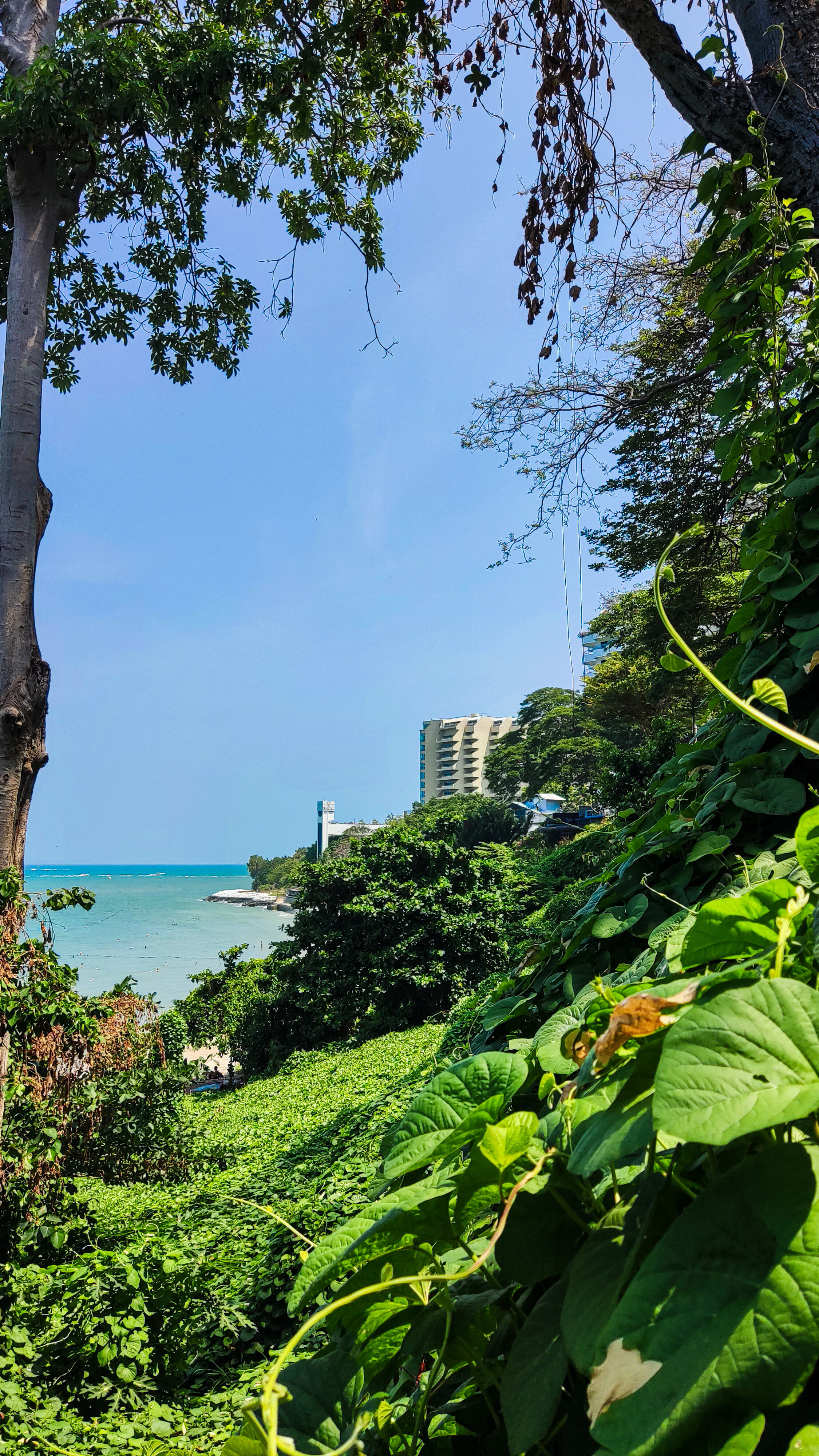Фото Mountain Beach Resort & Convention Center