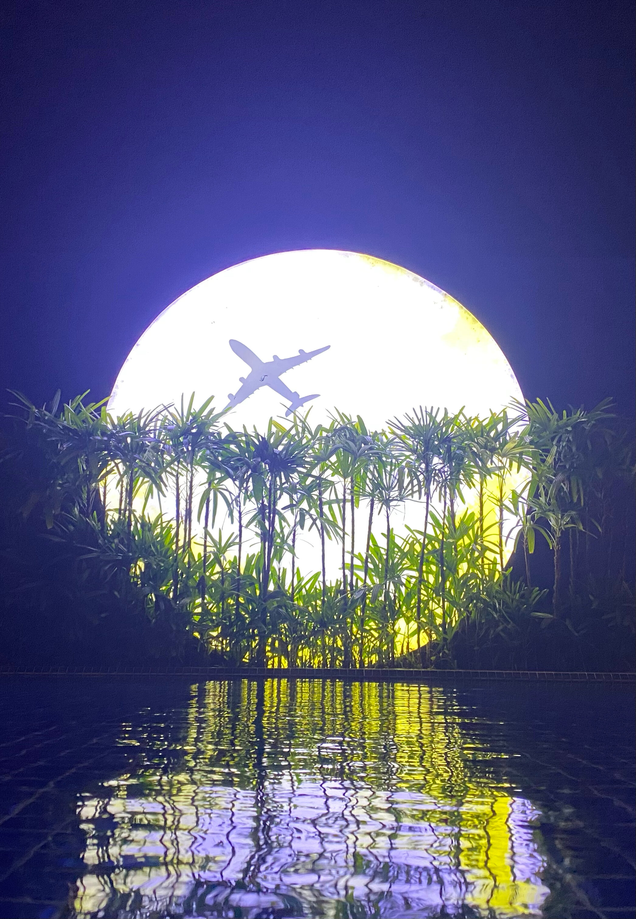 Фото Ibis Saigon Airport