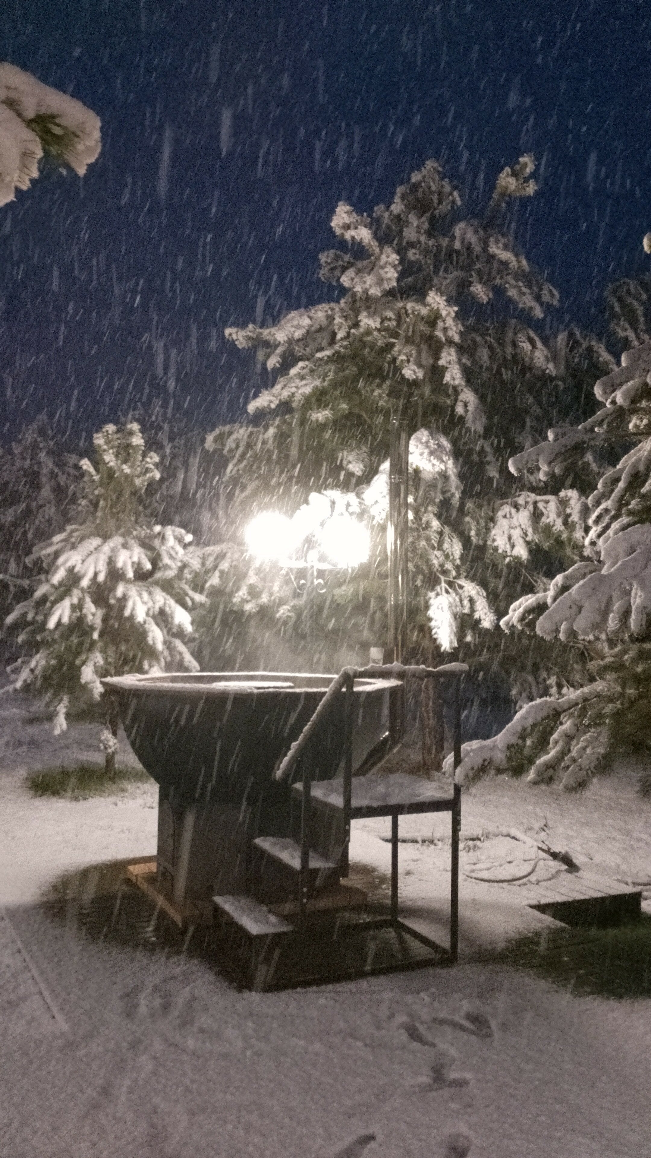 Фото Лесная симфония