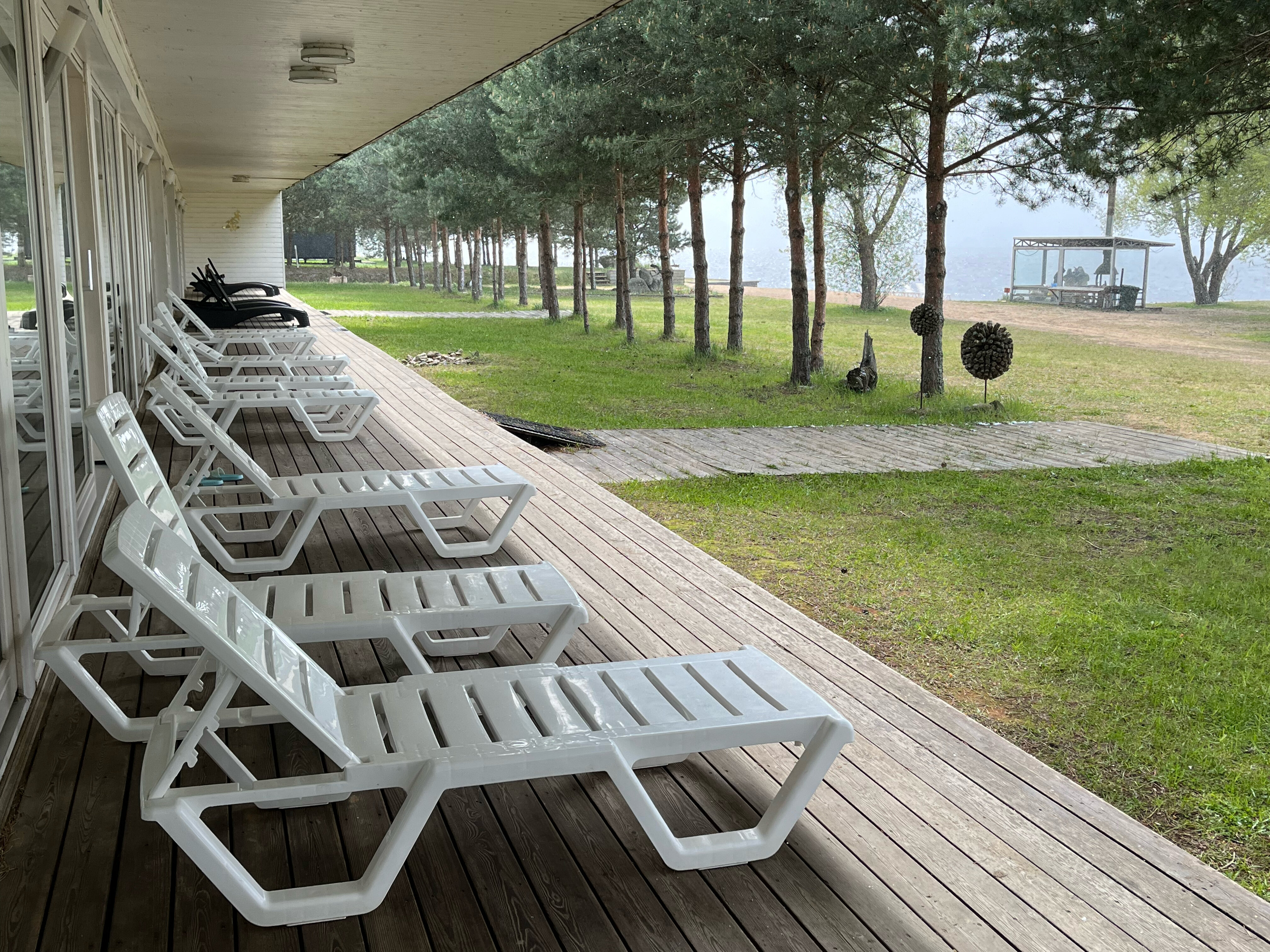 Фото Веточка