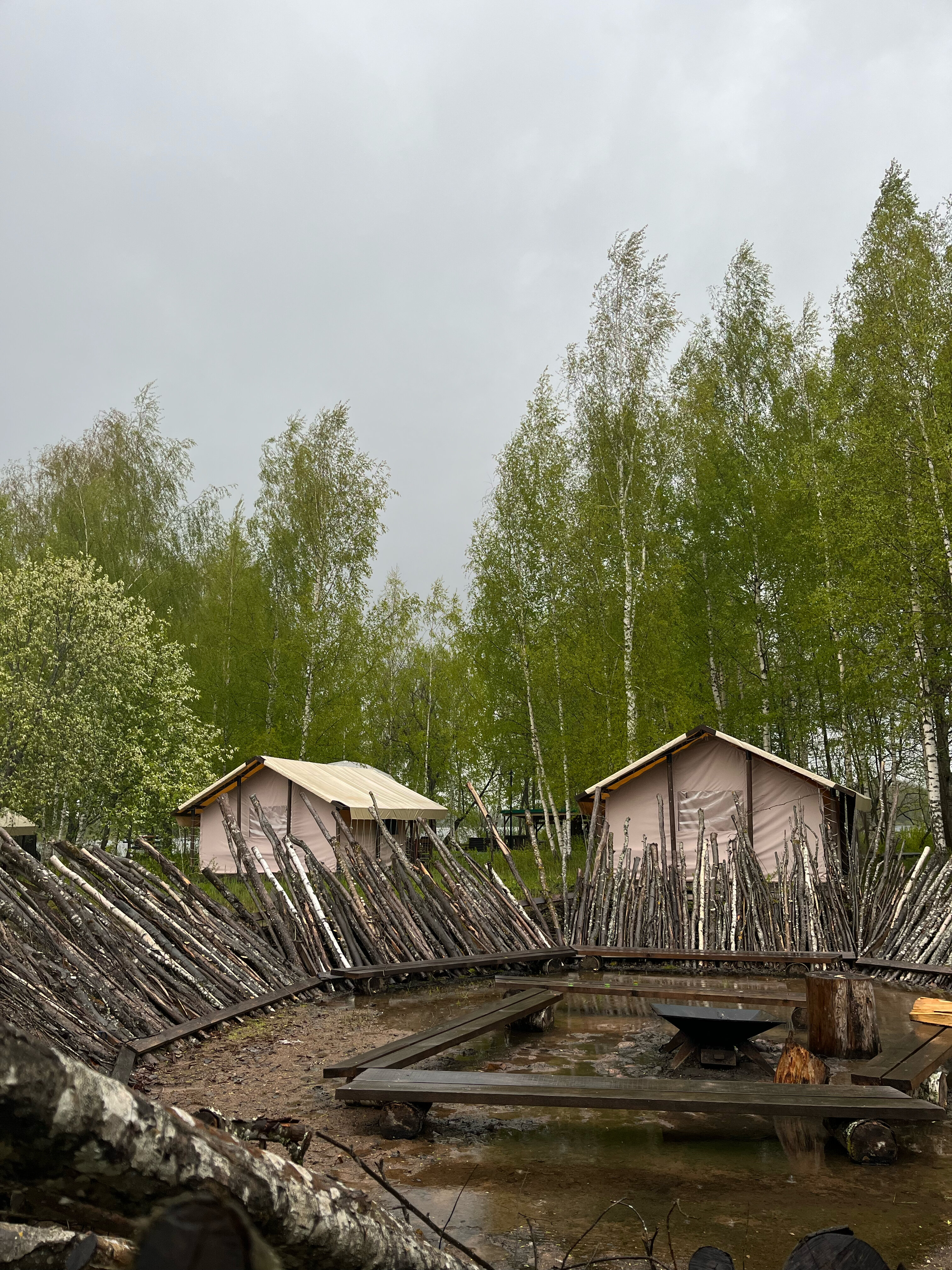 Фото Свобода