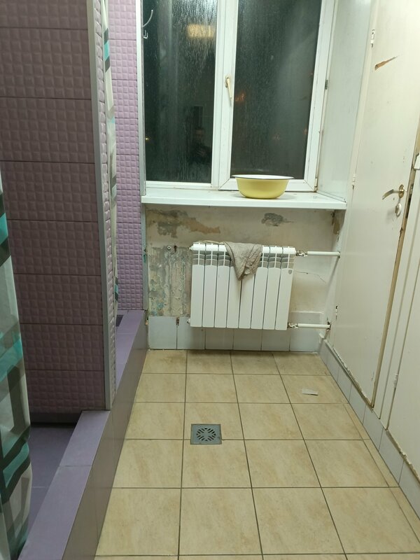 Вежливый лось — фото 43