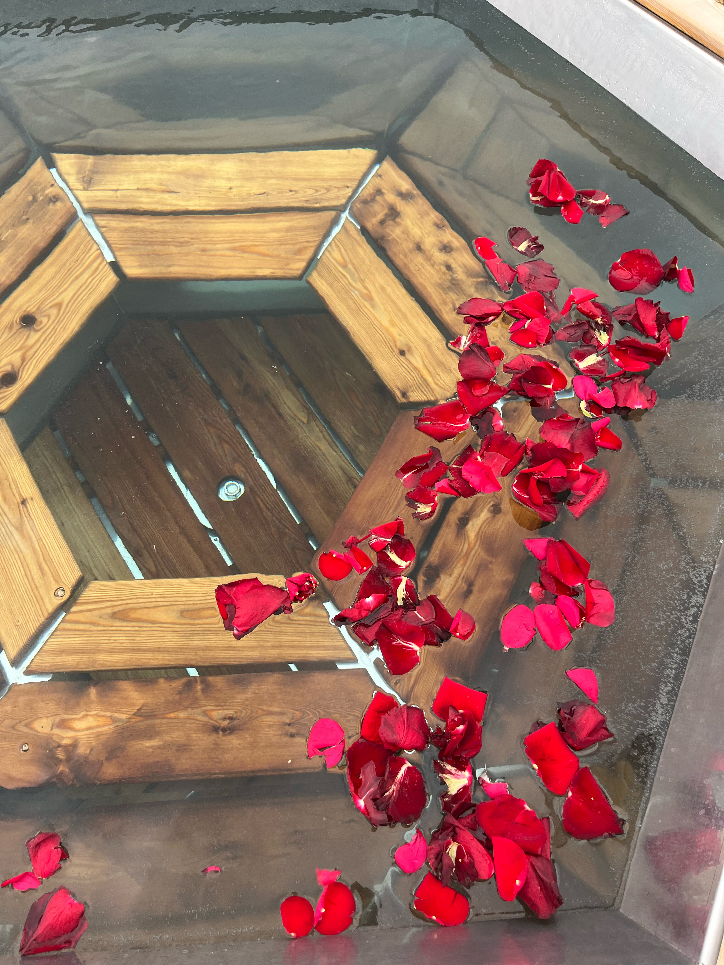 Фото Шишкин Афрейм