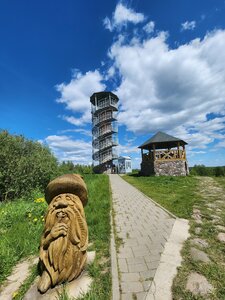 Mayak hill (Viciebskaja voblasć, Braslaŭski rajon, Плюскі сельсавет), landmark, attraction