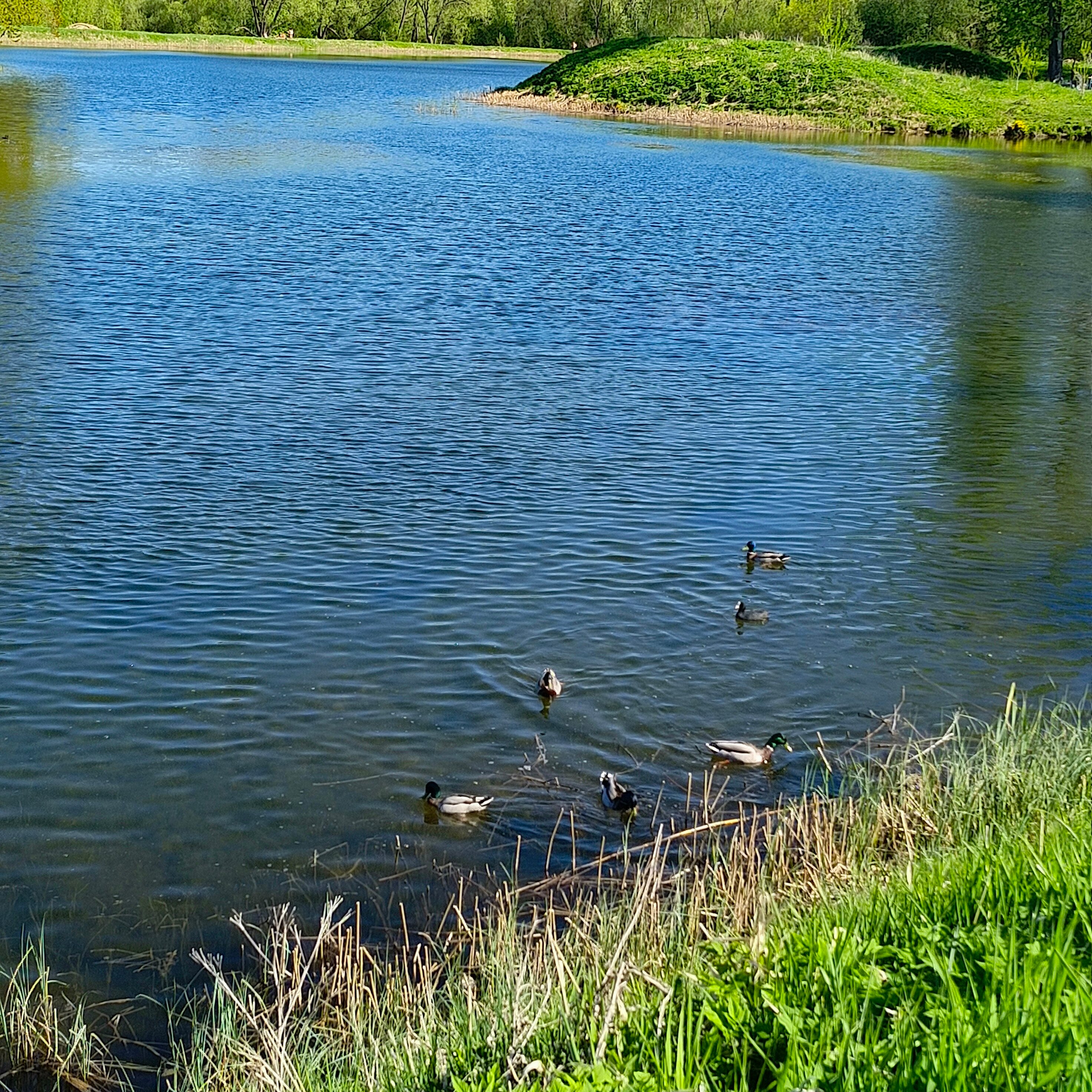 Фото Belveder Hotel&Spa