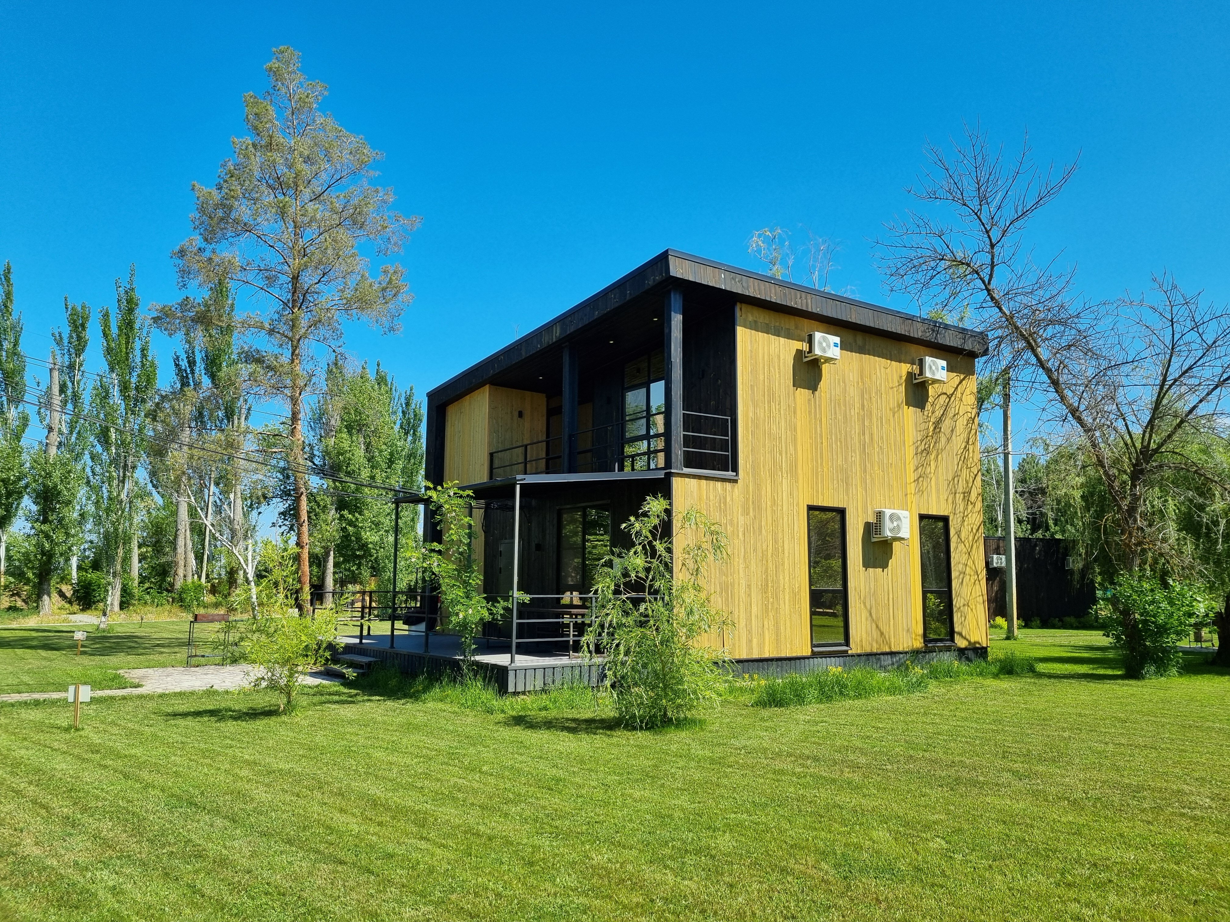 Фото Тополя