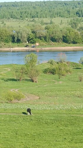Holiday Home в Дракино  фото 5