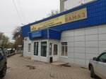 Avtosila (Moskovskaya Street, 291к3), auto parts and auto goods store