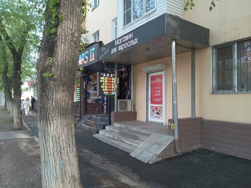 Жабайы қаздардың жыныстық позициясы