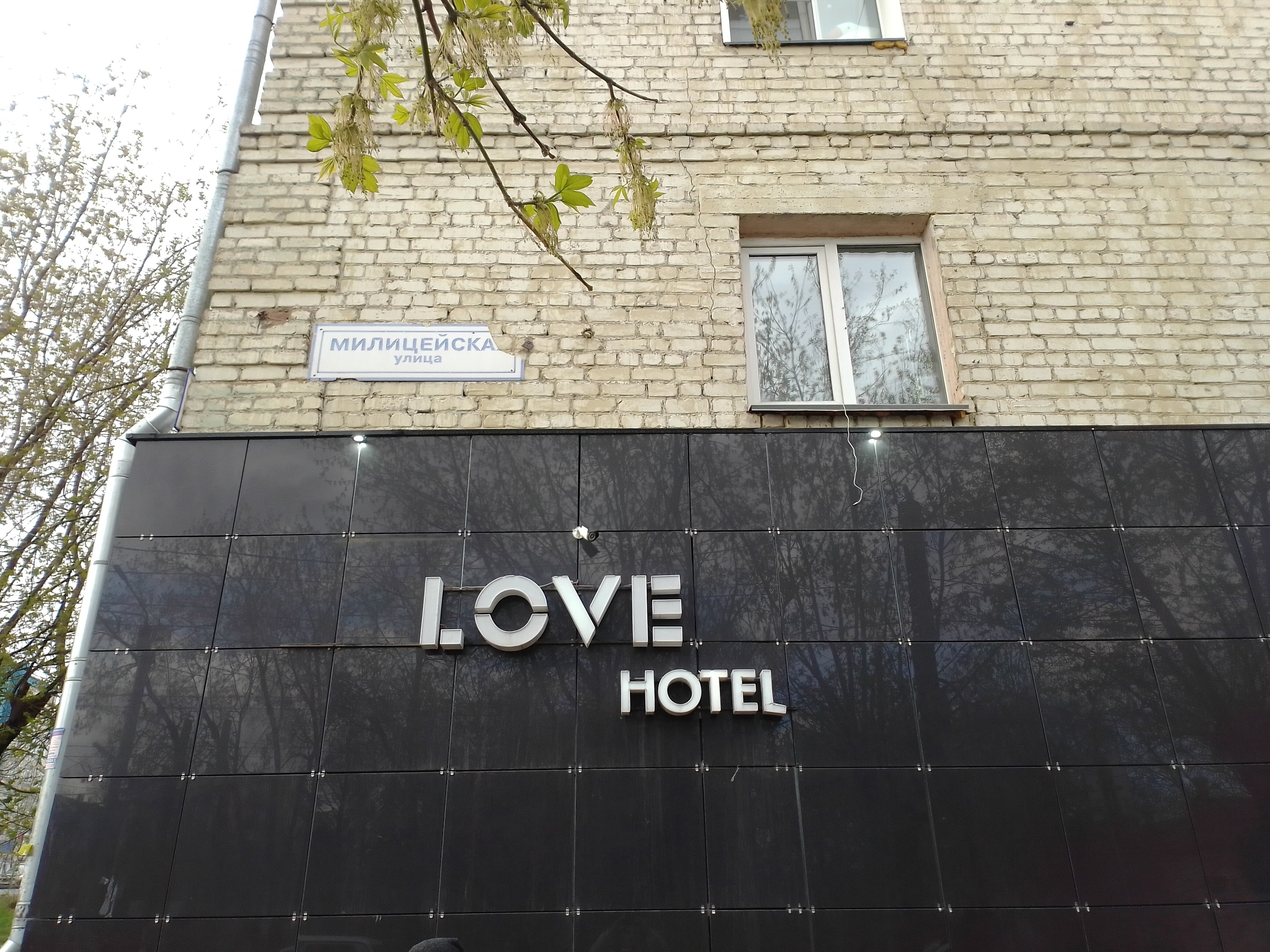 Фото Основа