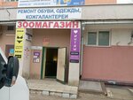 Hvosty i lapki (Pushkina Avenue, 50), tienda de animales