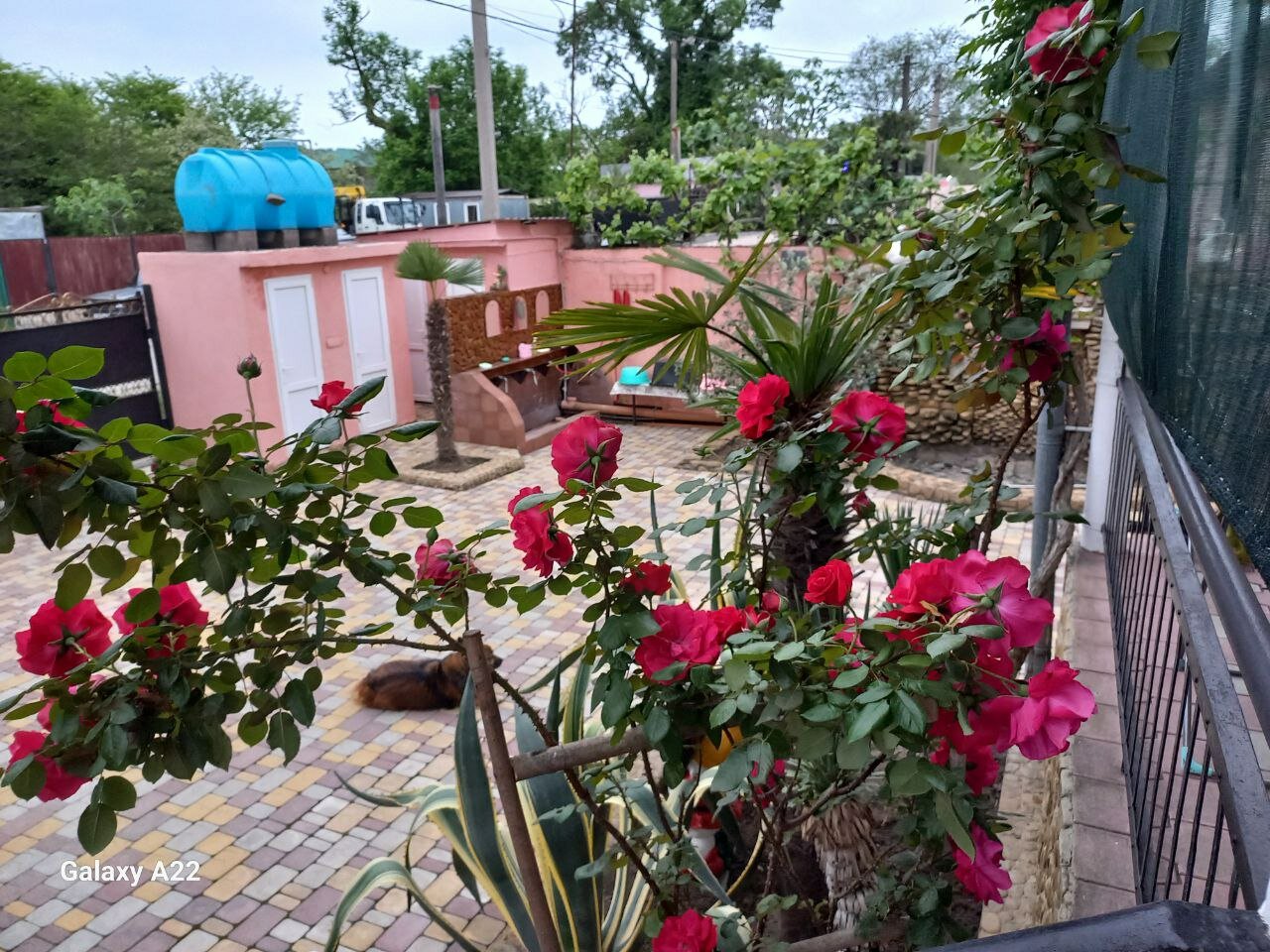 Фото Гостевой дом Мечта