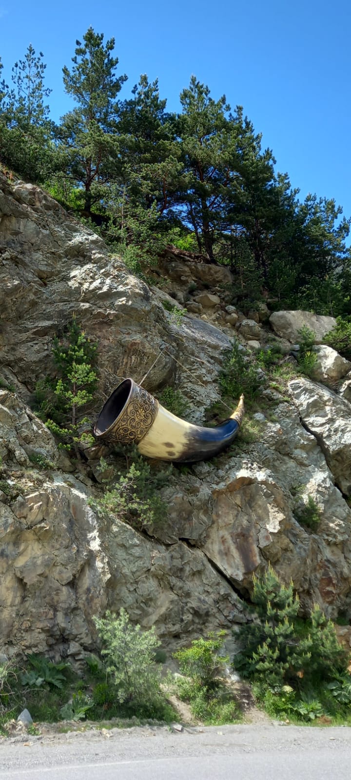 Фото ТриДом