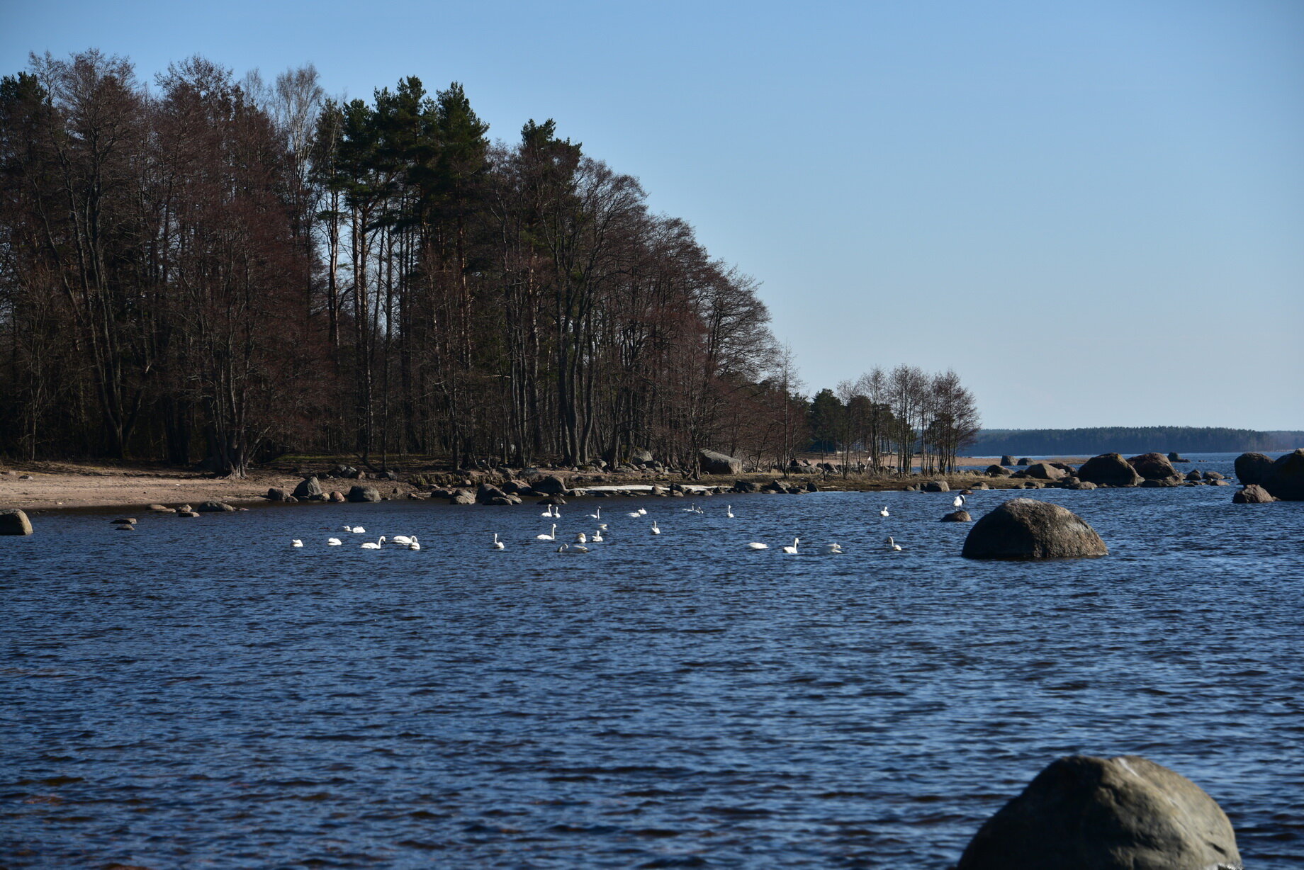 Фото Домик Коиви
