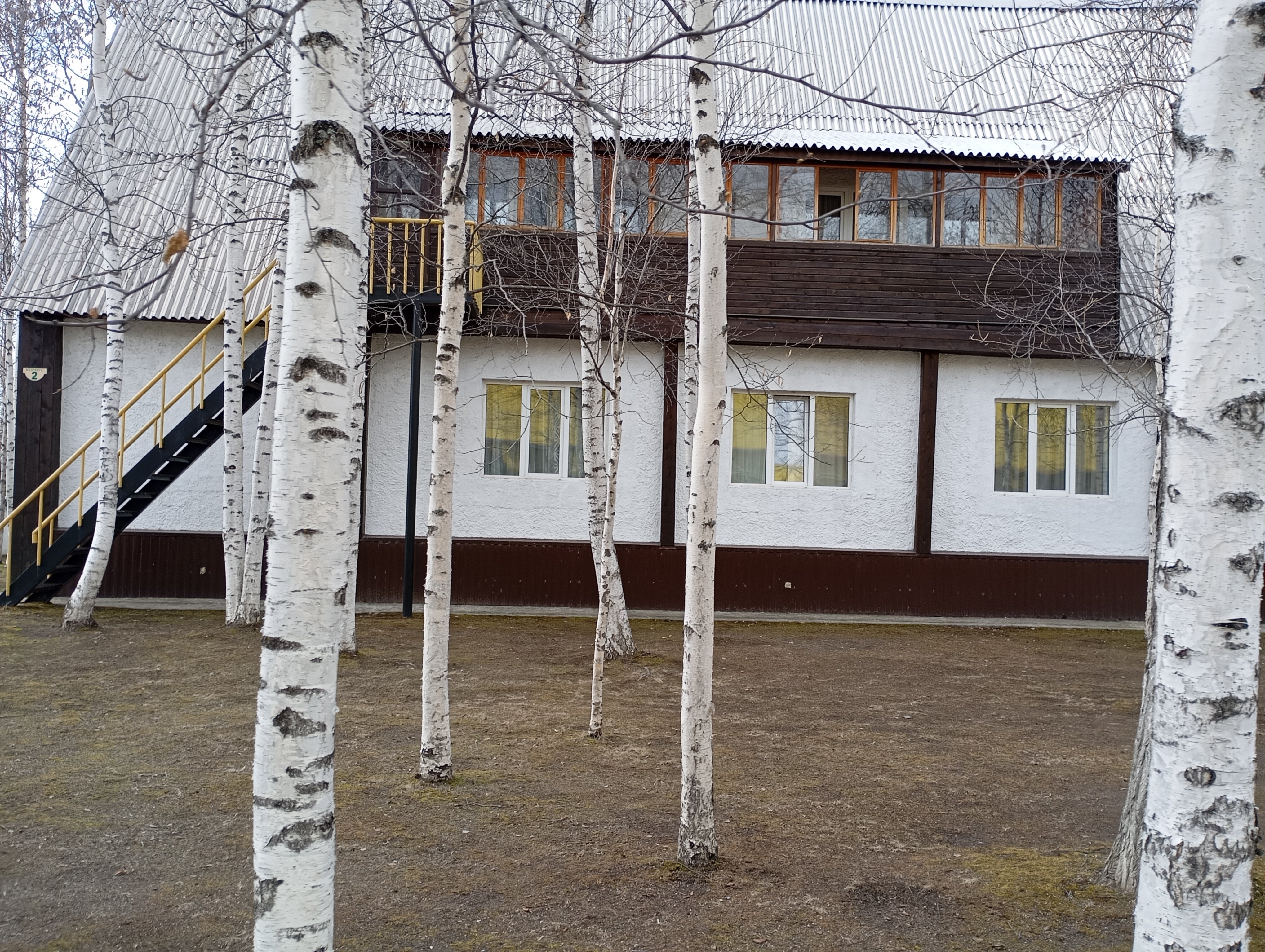 Фото Березка