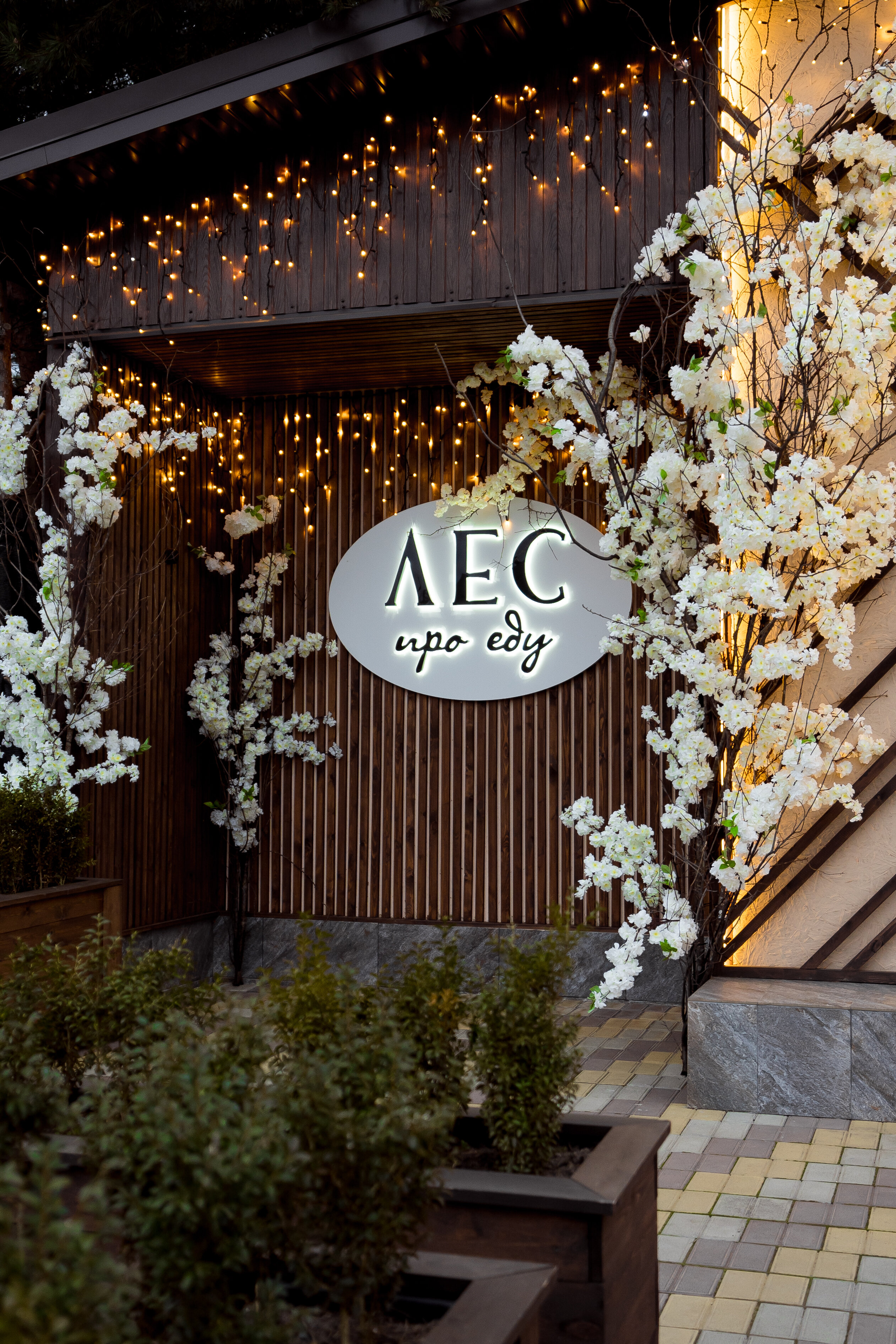 Фото Кедровый бор