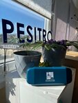 Pesitro (Transportnaya Street, 74/5), dental materials and equipment