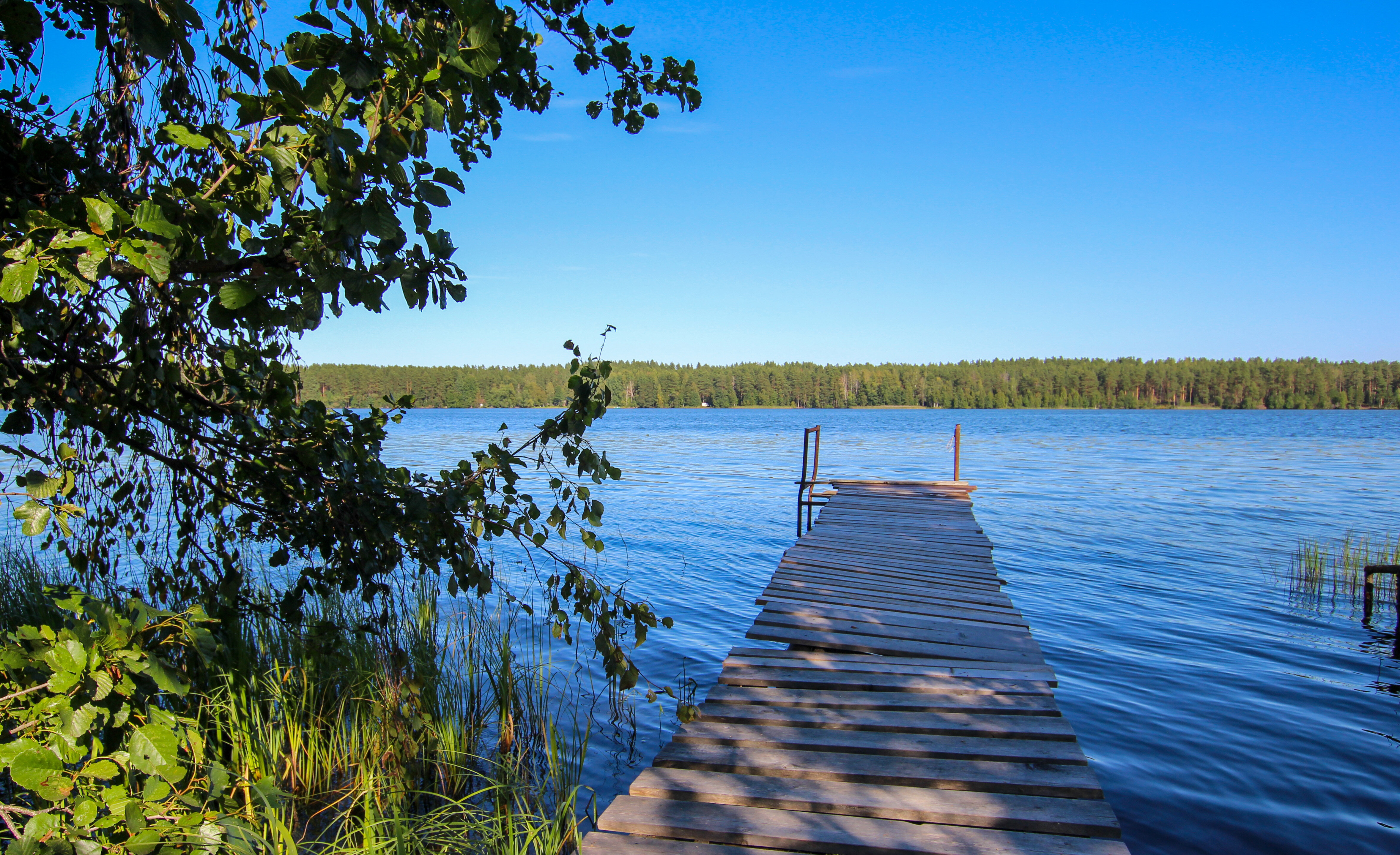 Фото Ладога Хоум - на берегу озера