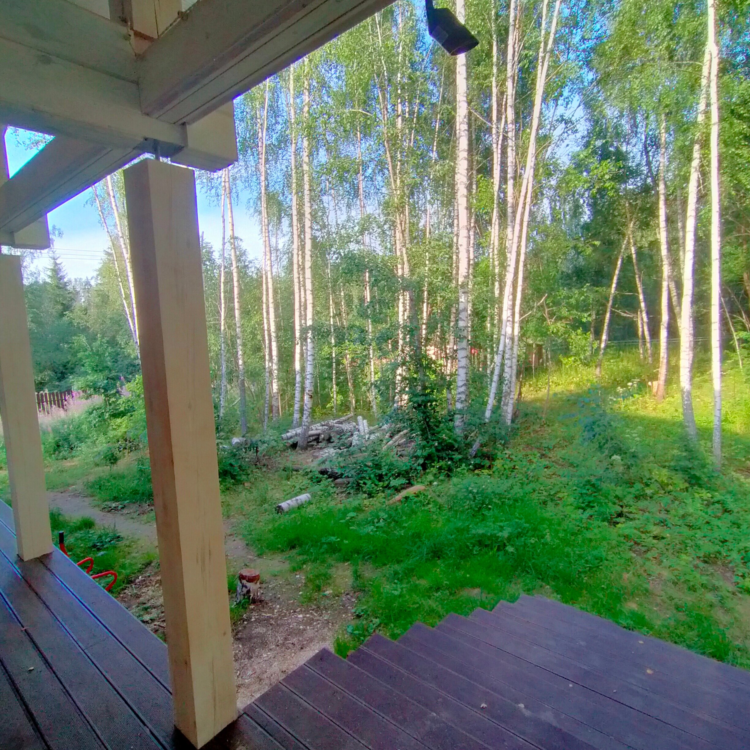 Фото Шале в лесу