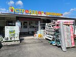StroyDvor Zinovkino (Moscow Region, Domodedovo City District, Zinovkino Village), hardware store