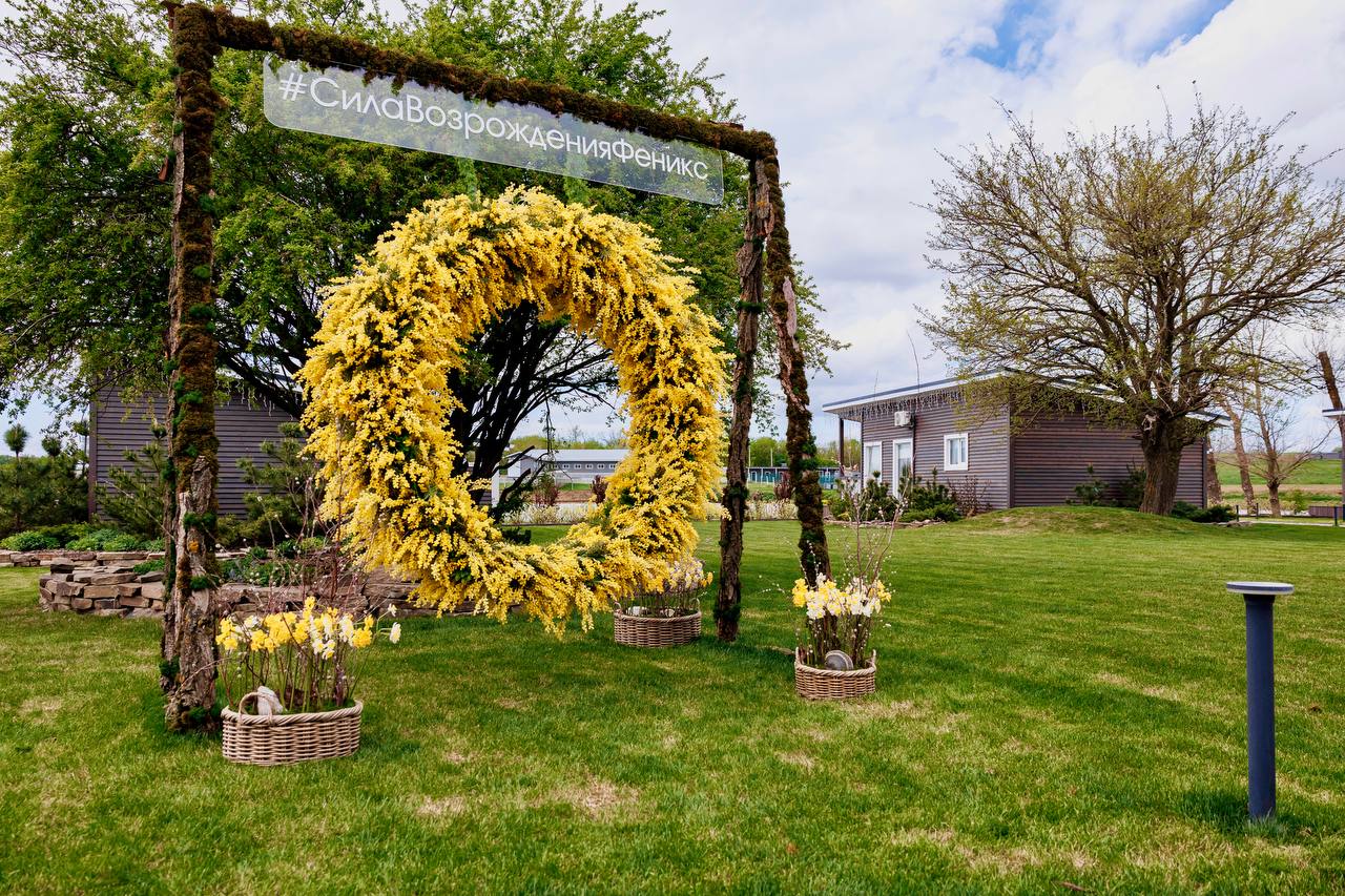 Фото Феникс