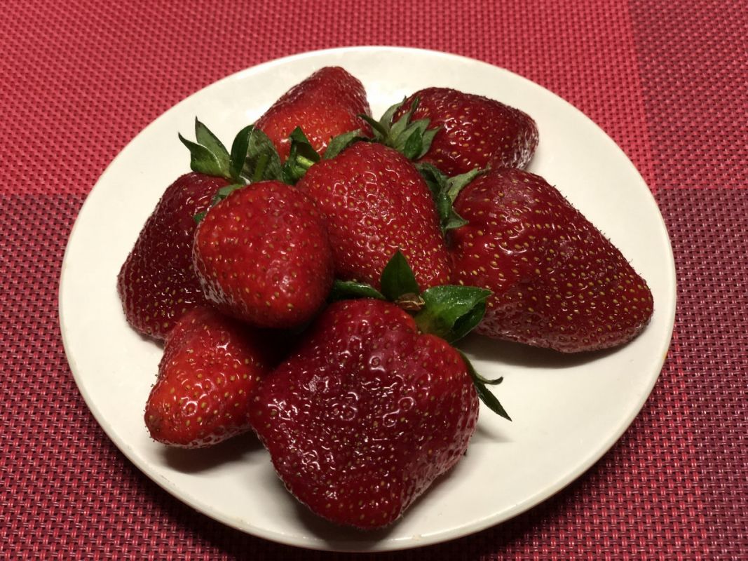 Фото Иордан