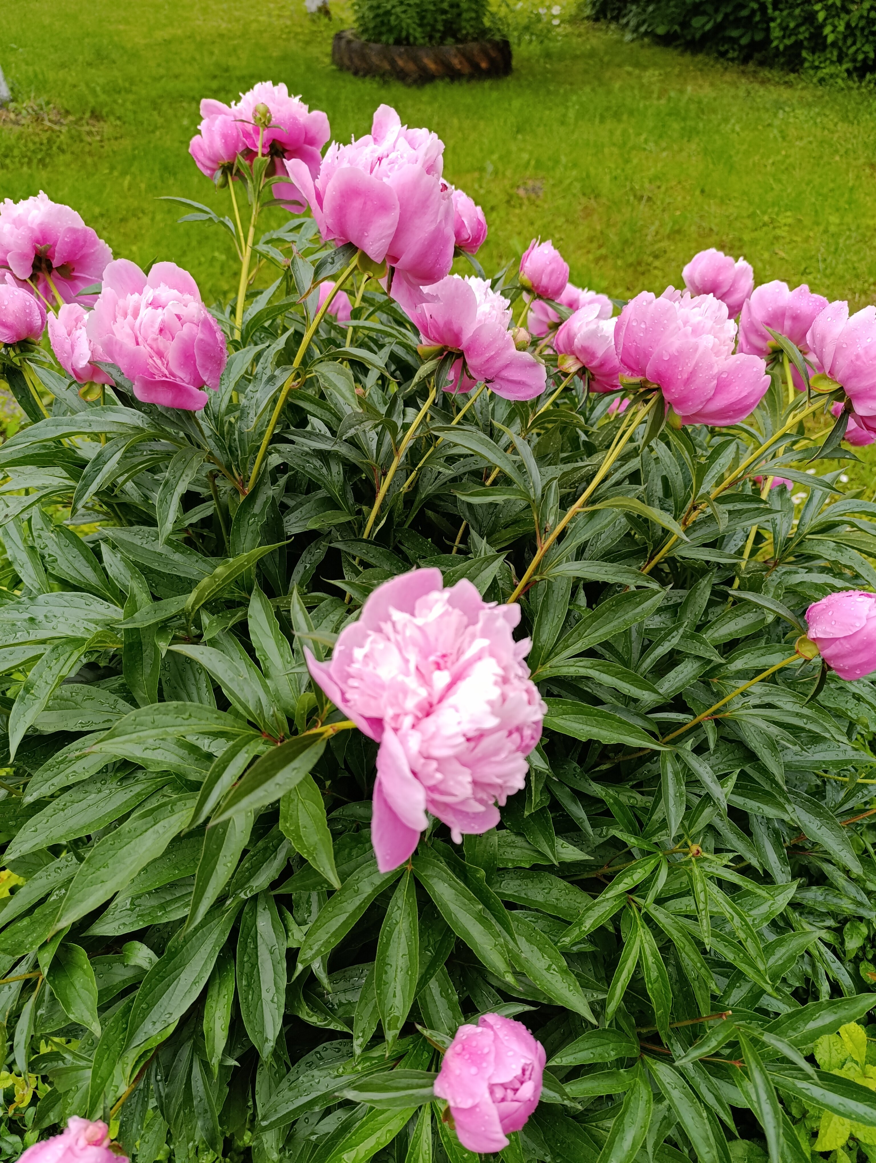 Фото Спальный корпус Строитель