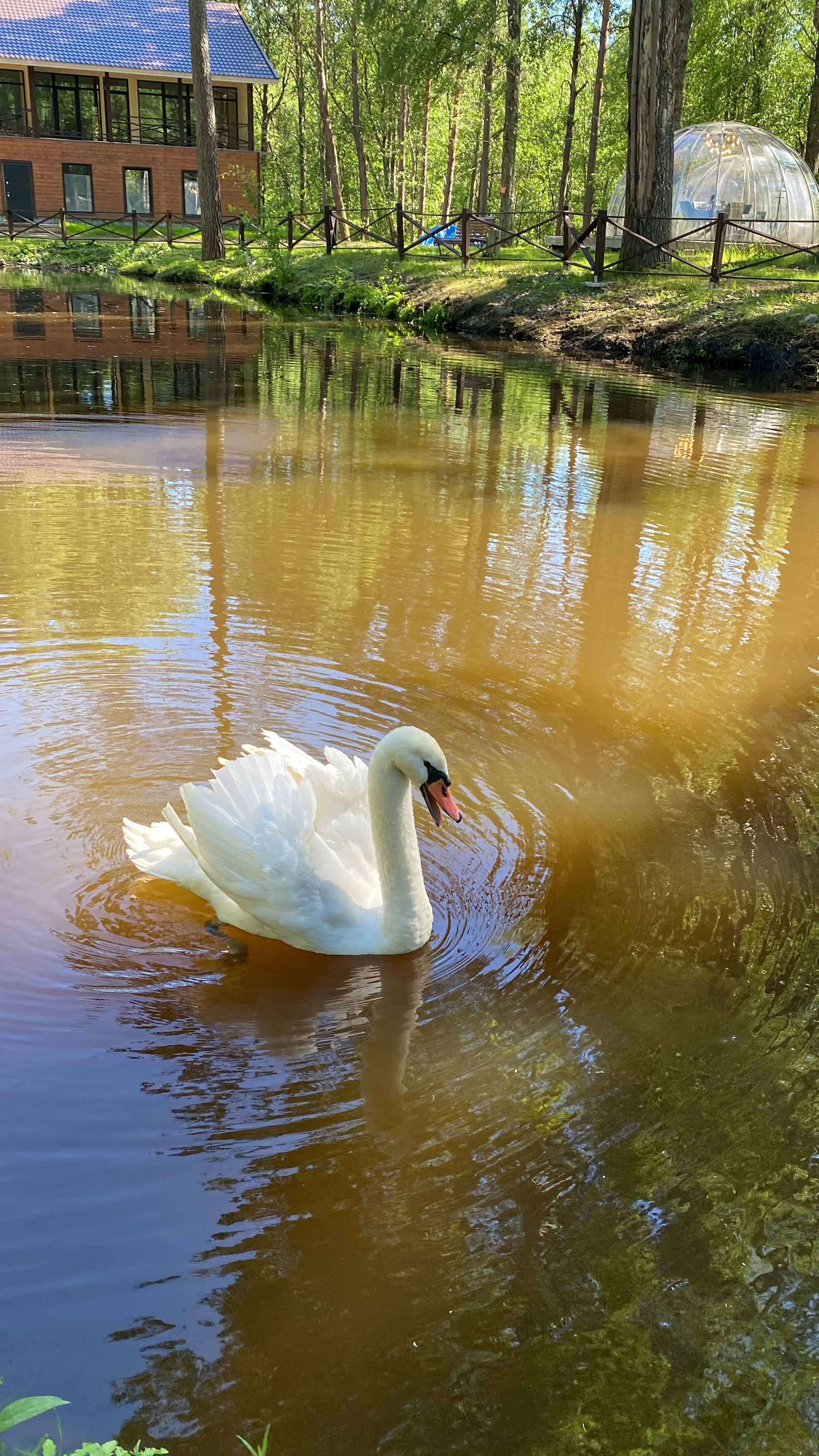 Фото Пять звезд