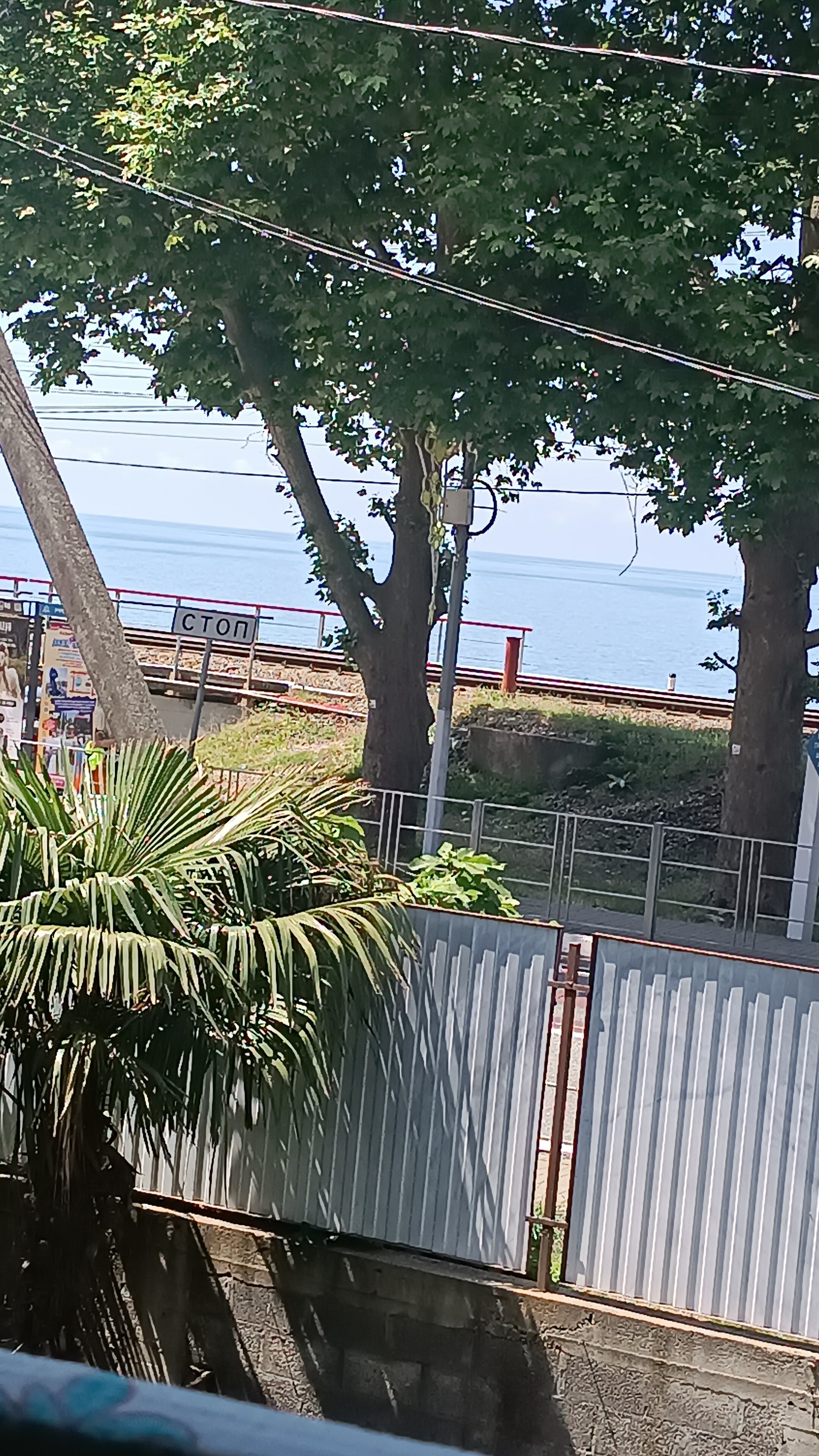 Фото Санрайз