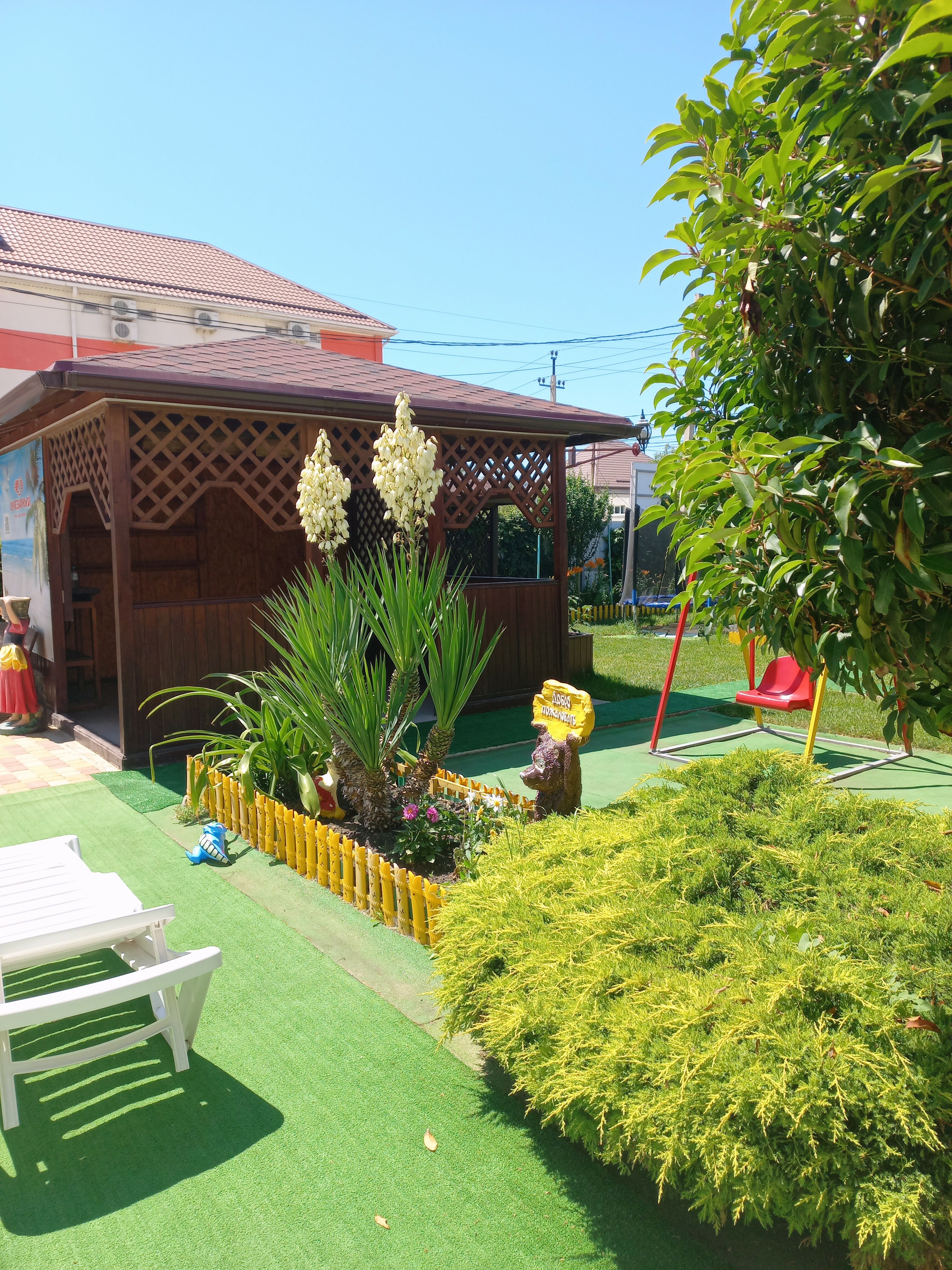 Фото Лучезарный