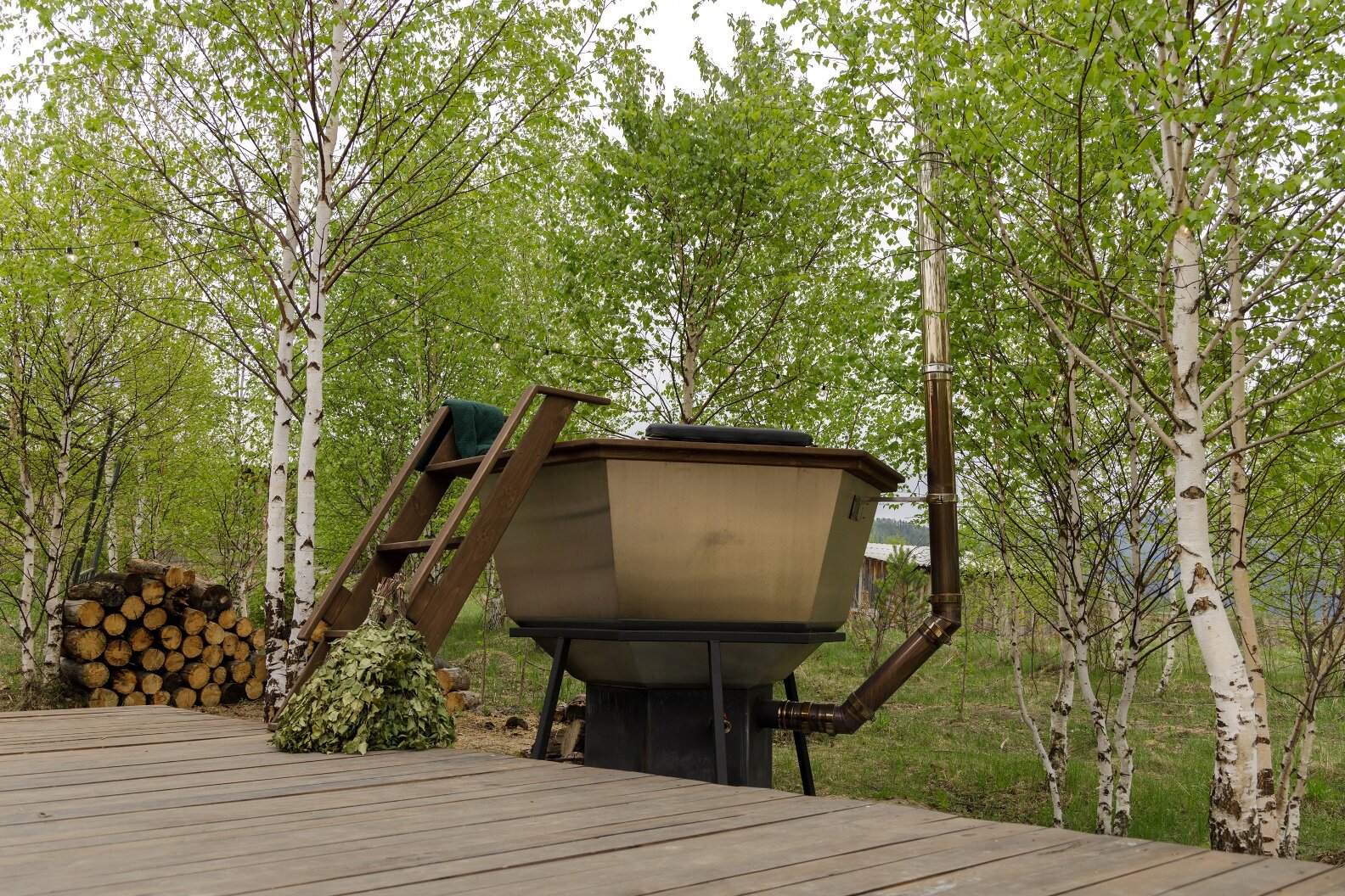 Фото Чайное гнёздышко