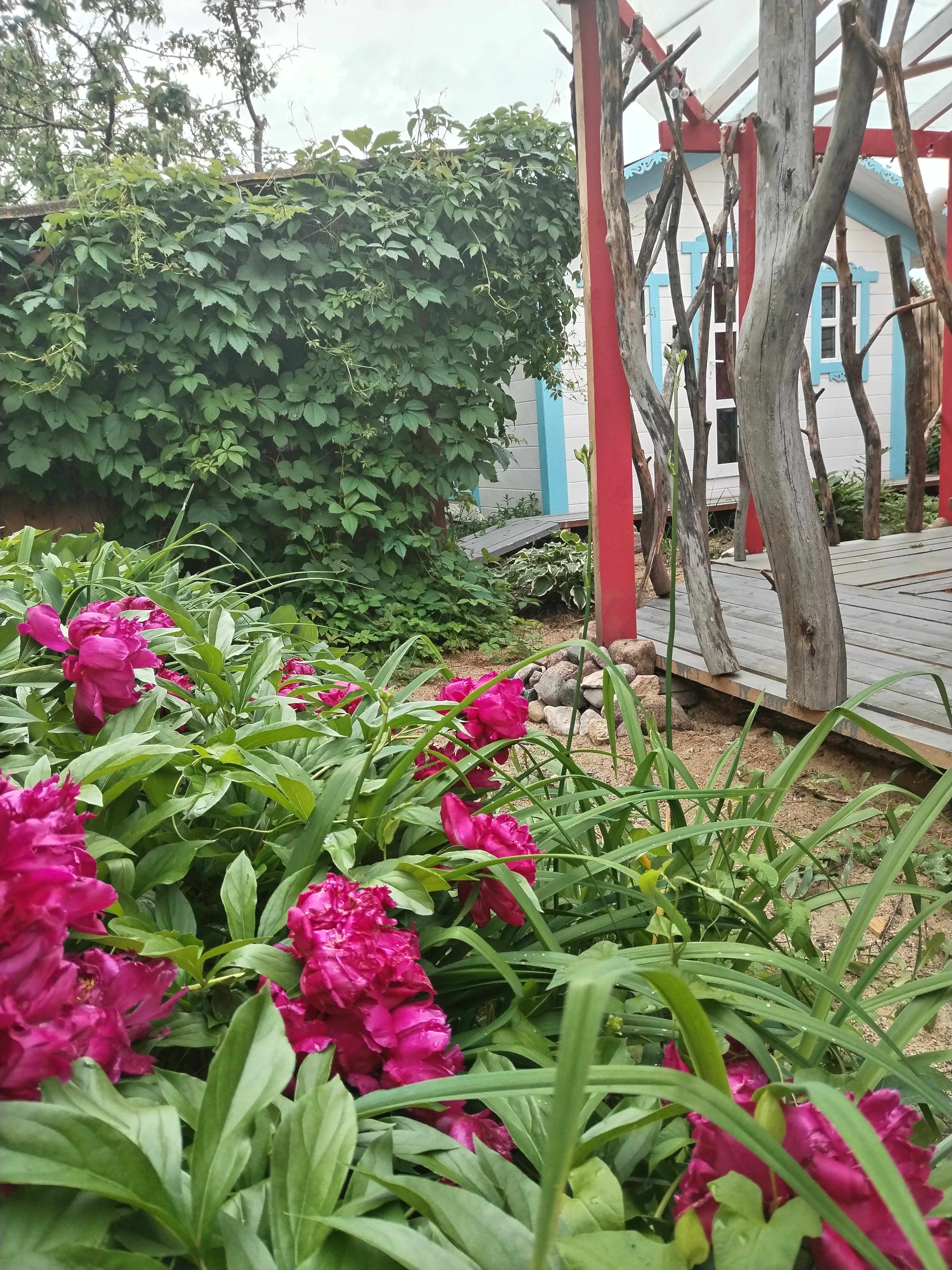 Фото Домики на озере