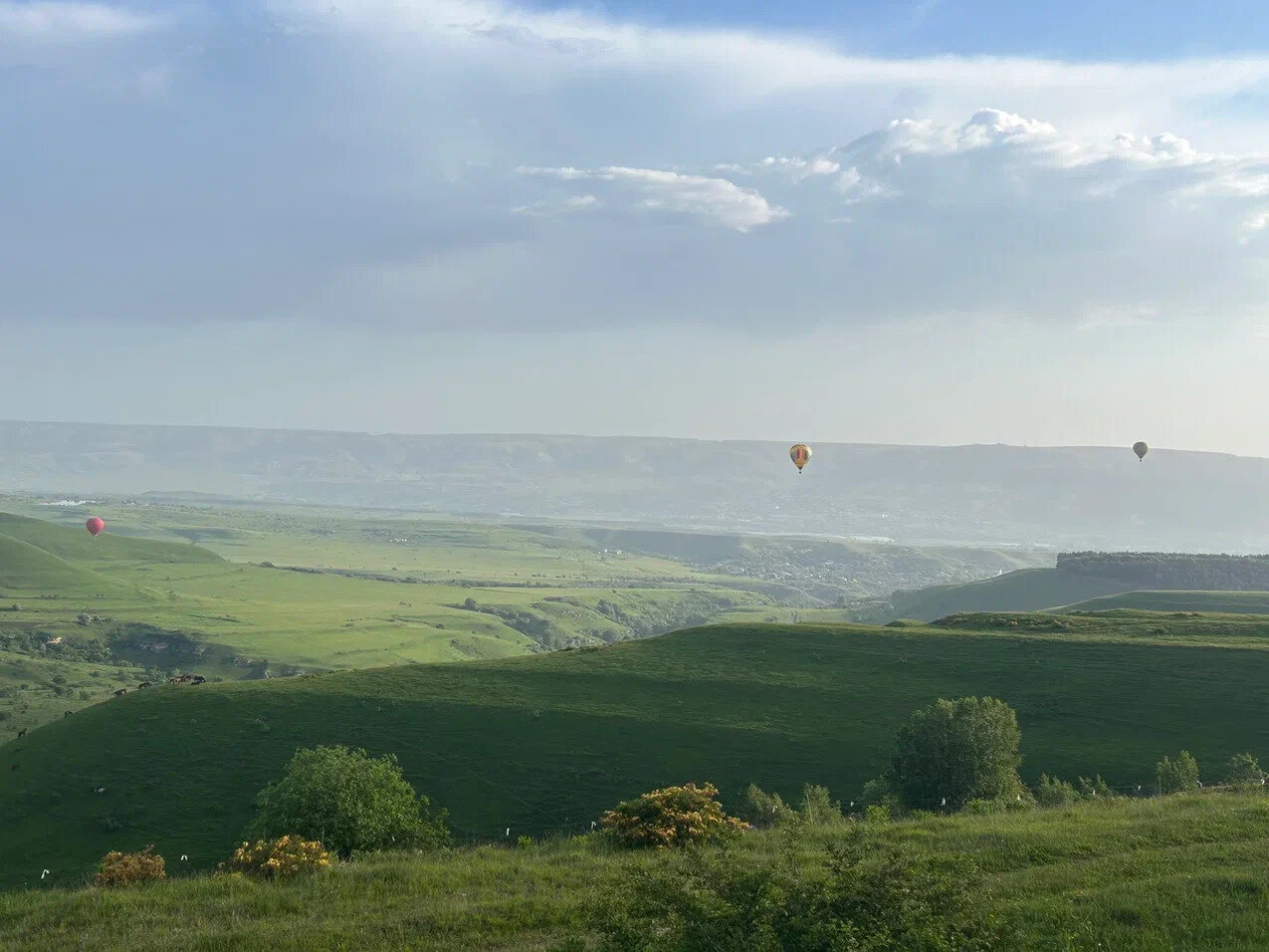Фото Медовые Холмы
